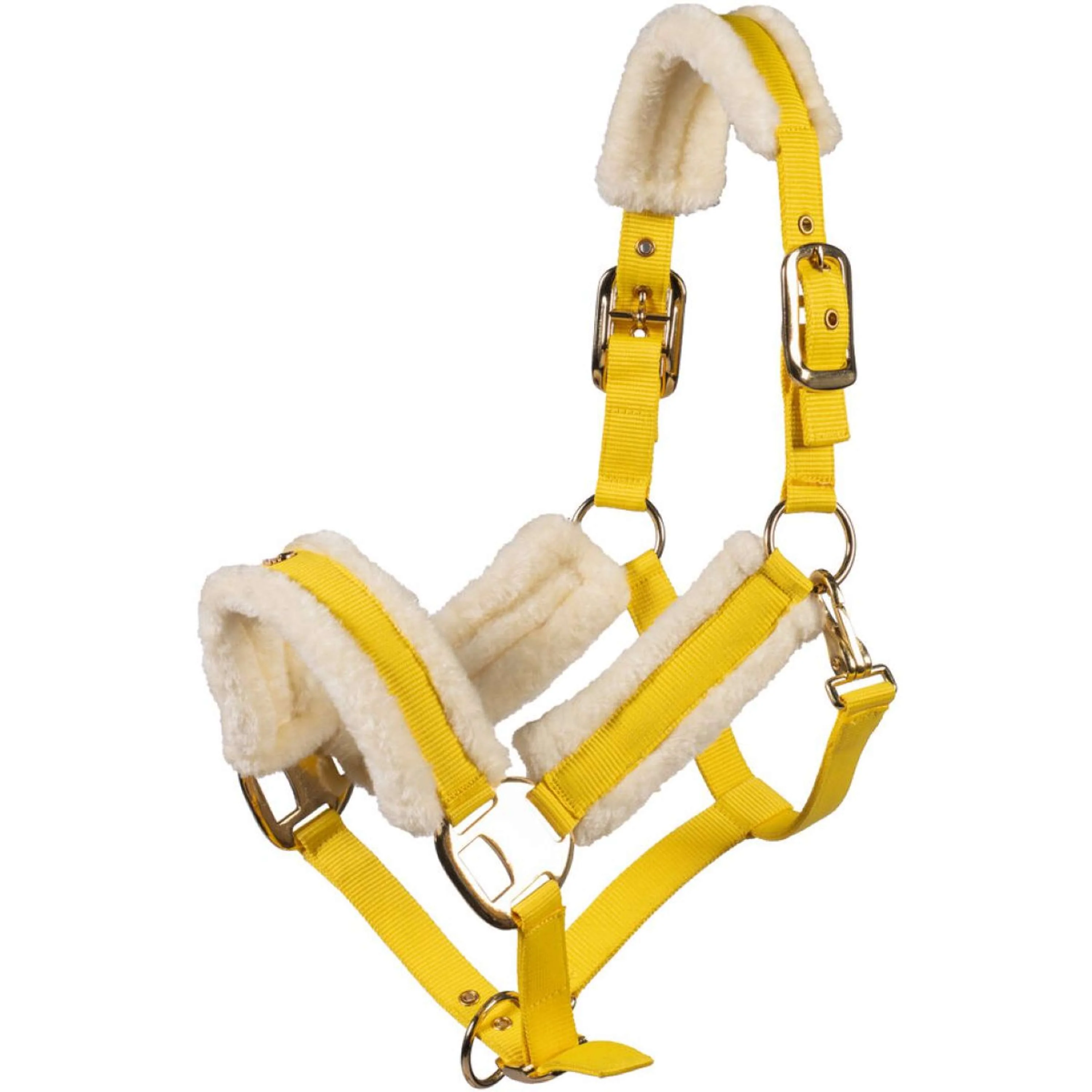 Lauria Garrelli Halfter Limone Elegant Lemon