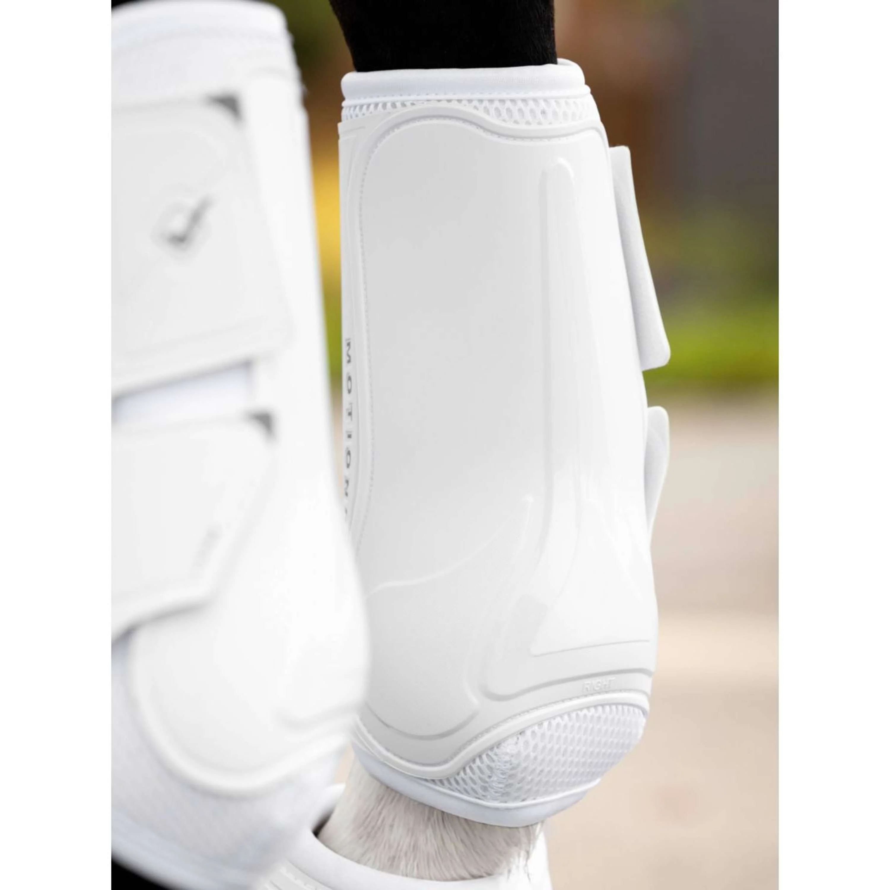 LeMieux Beinschutz Motionflex Weiß - Image 5