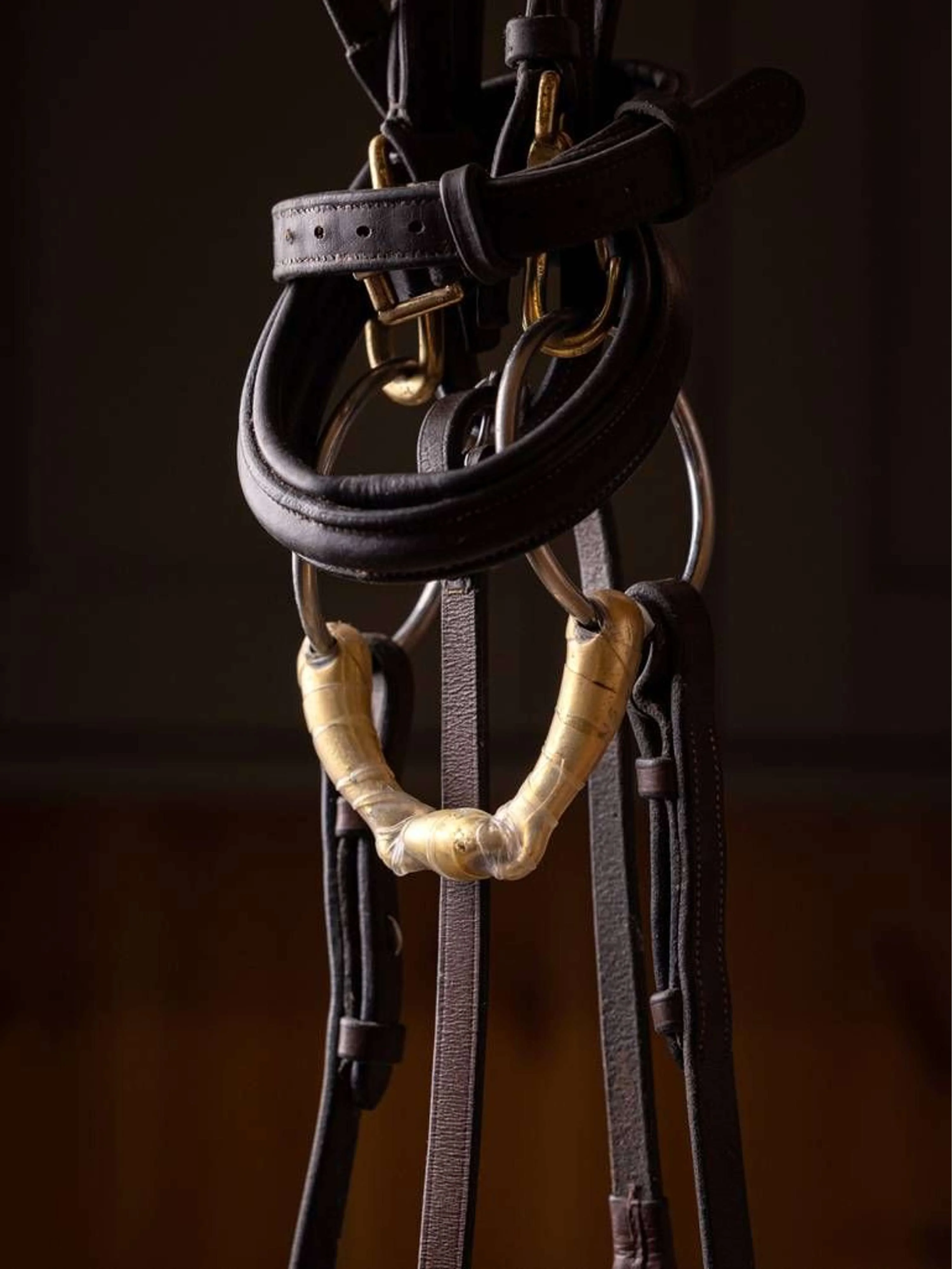 LeMieux Bit-Wickelband - Image 5