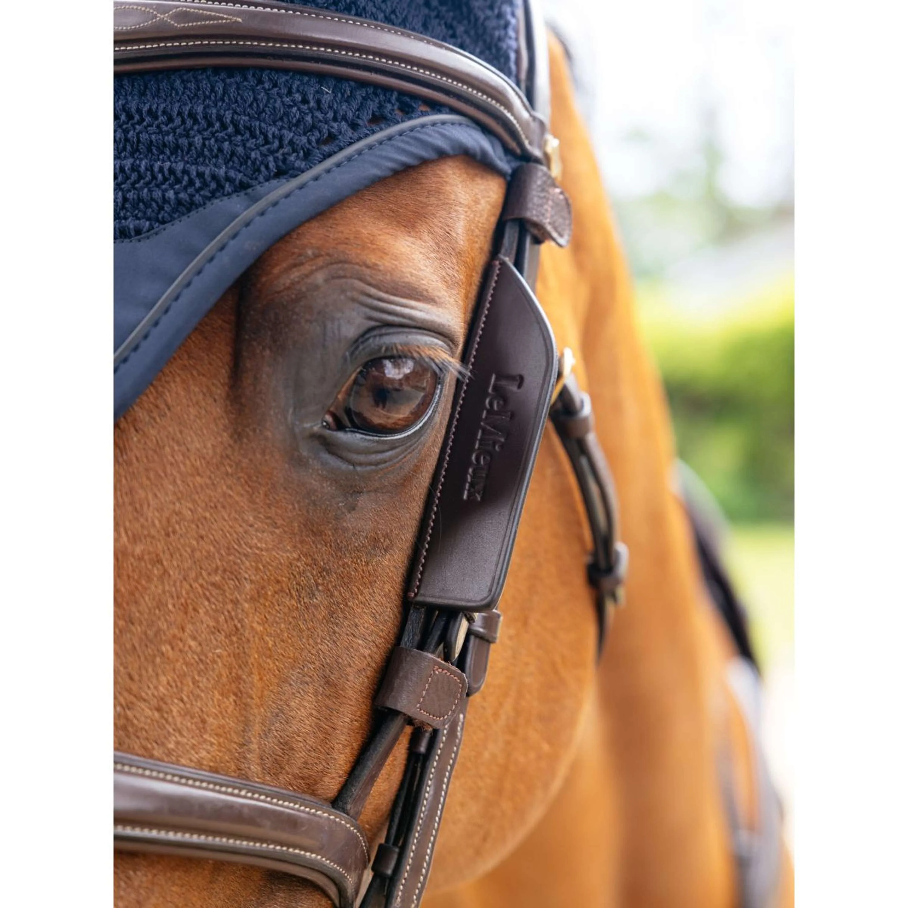 LeMieux Blinker Leather Havanna - Image 2