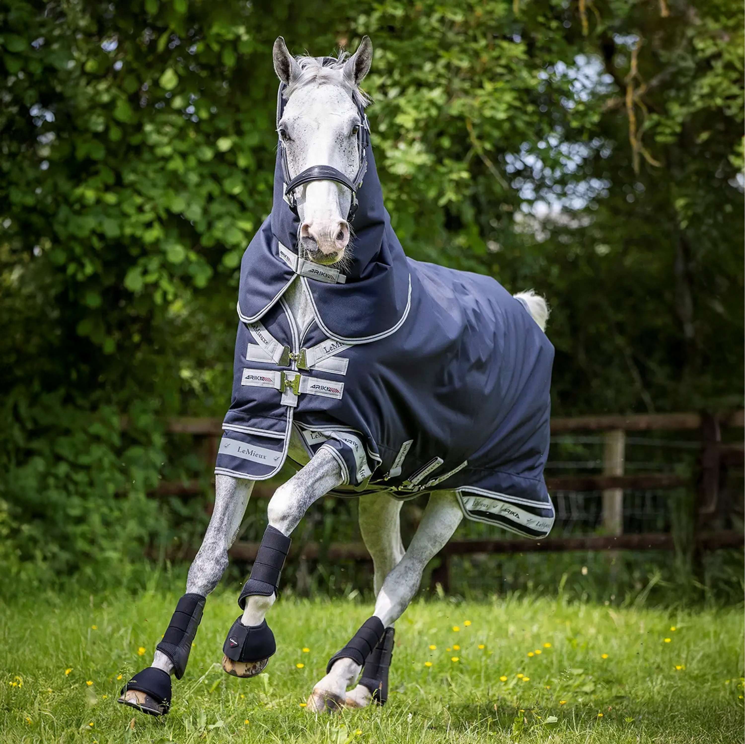 LeMieux Decke Arika Storm-Tek 2 Turnout 100g Navy - Image 4