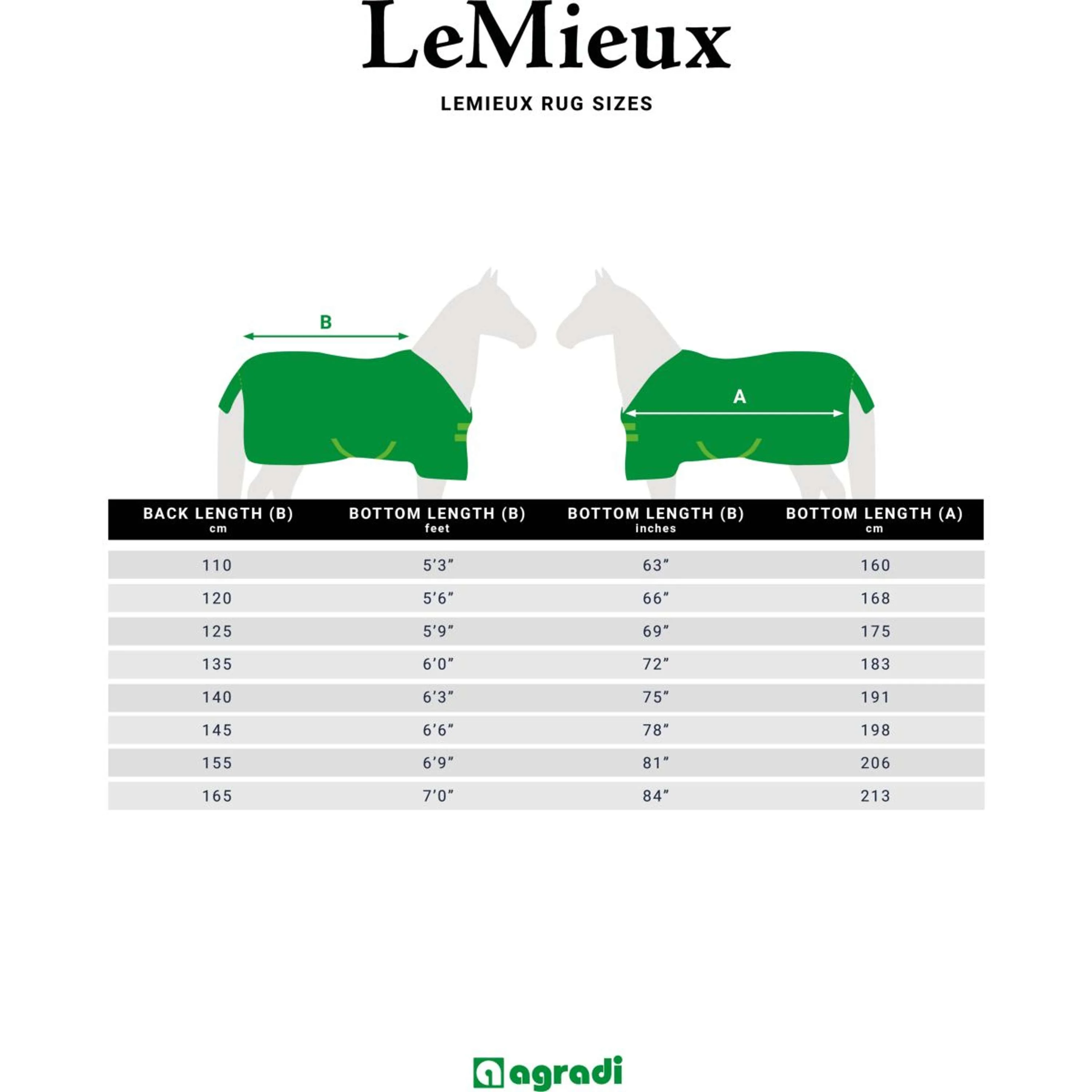 LeMieux Decke Kudos Turnout 100g Navy - Image 3