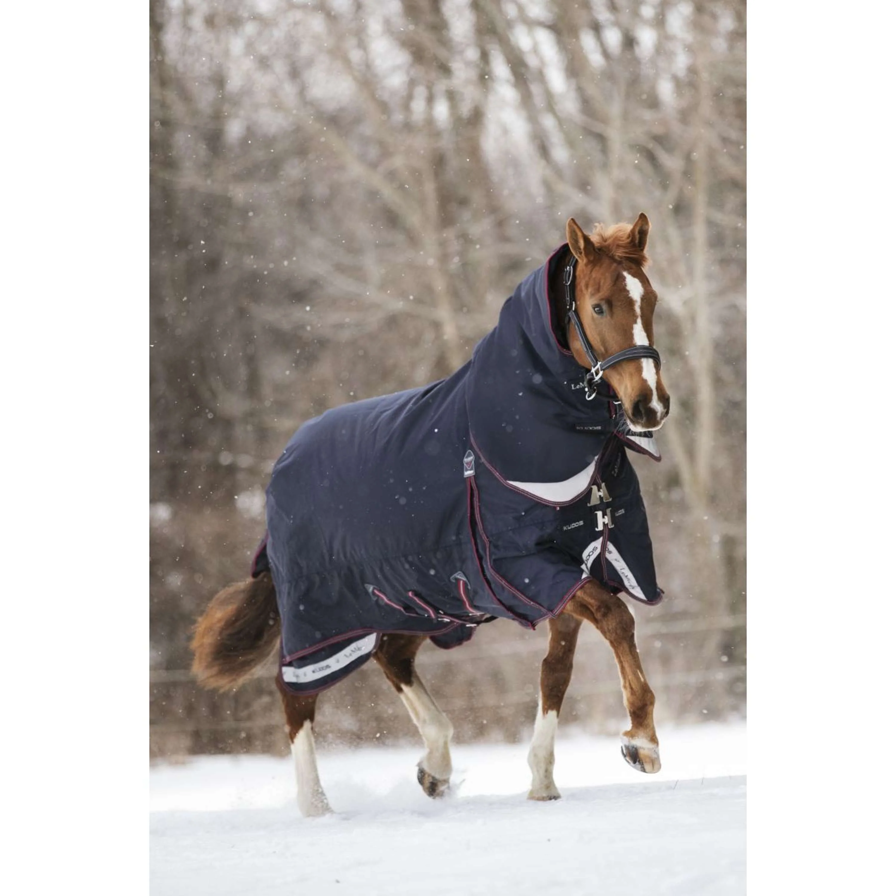 LeMieux Decke Kudos Turnout 350g Navy - Image 2