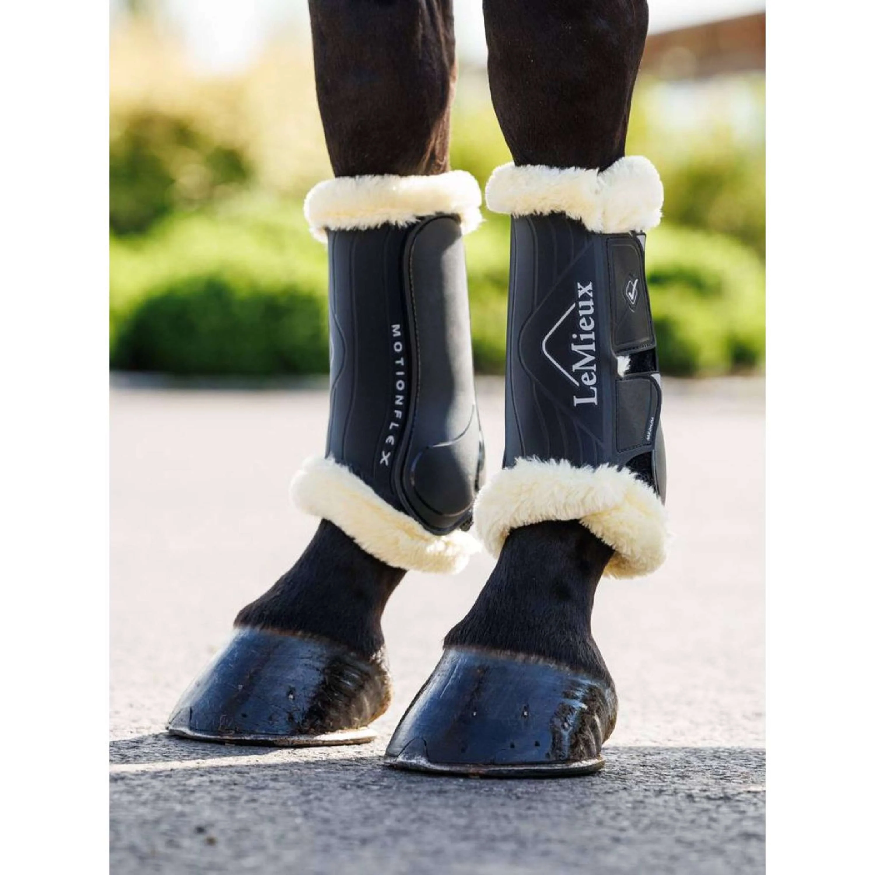 LeMieux Gamaschen Motionflex Schwarz - Image 4