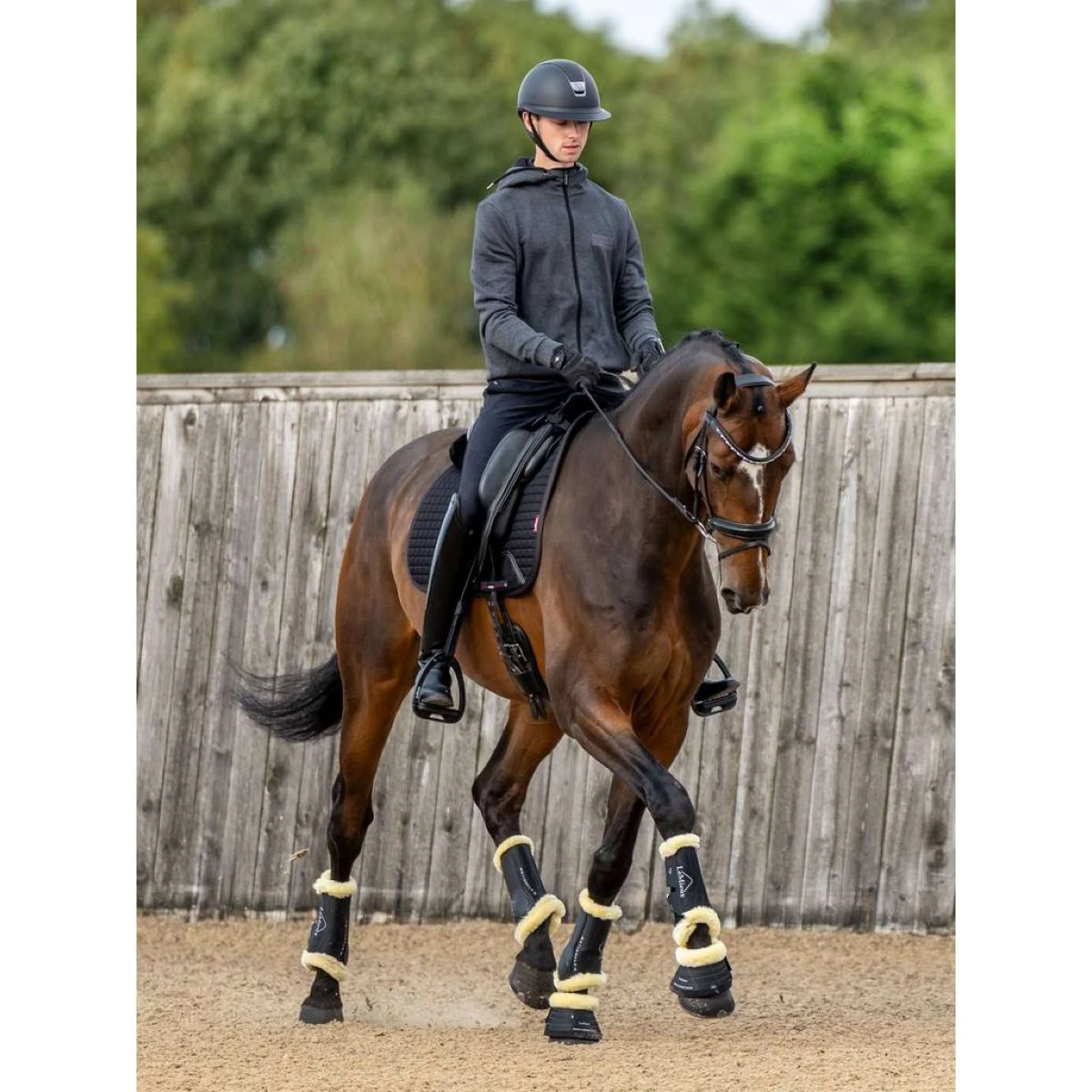 LeMieux Gamaschen Motionflex Schwarz - Image 5