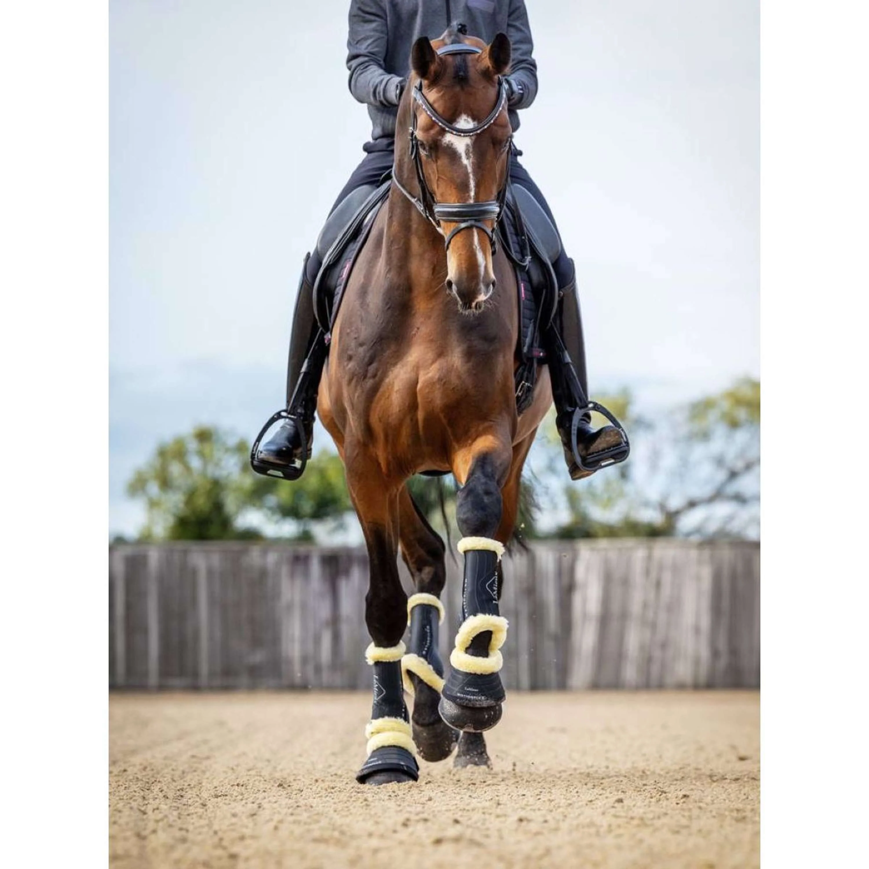 LeMieux Gamaschen Motionflex Schwarz - Image 6