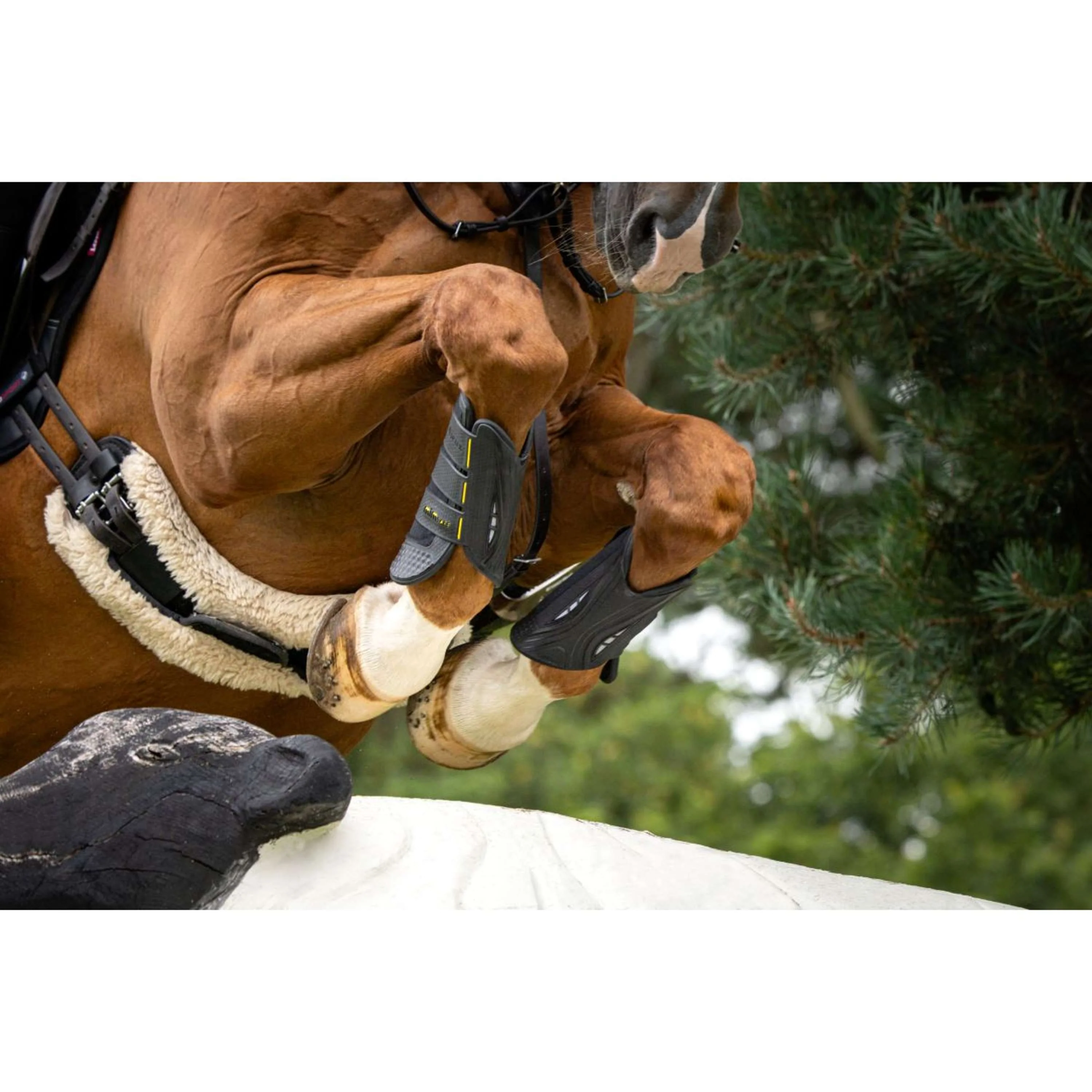 LeMieux Eventing Boots MIMsafe Für Schwarz - Image 2