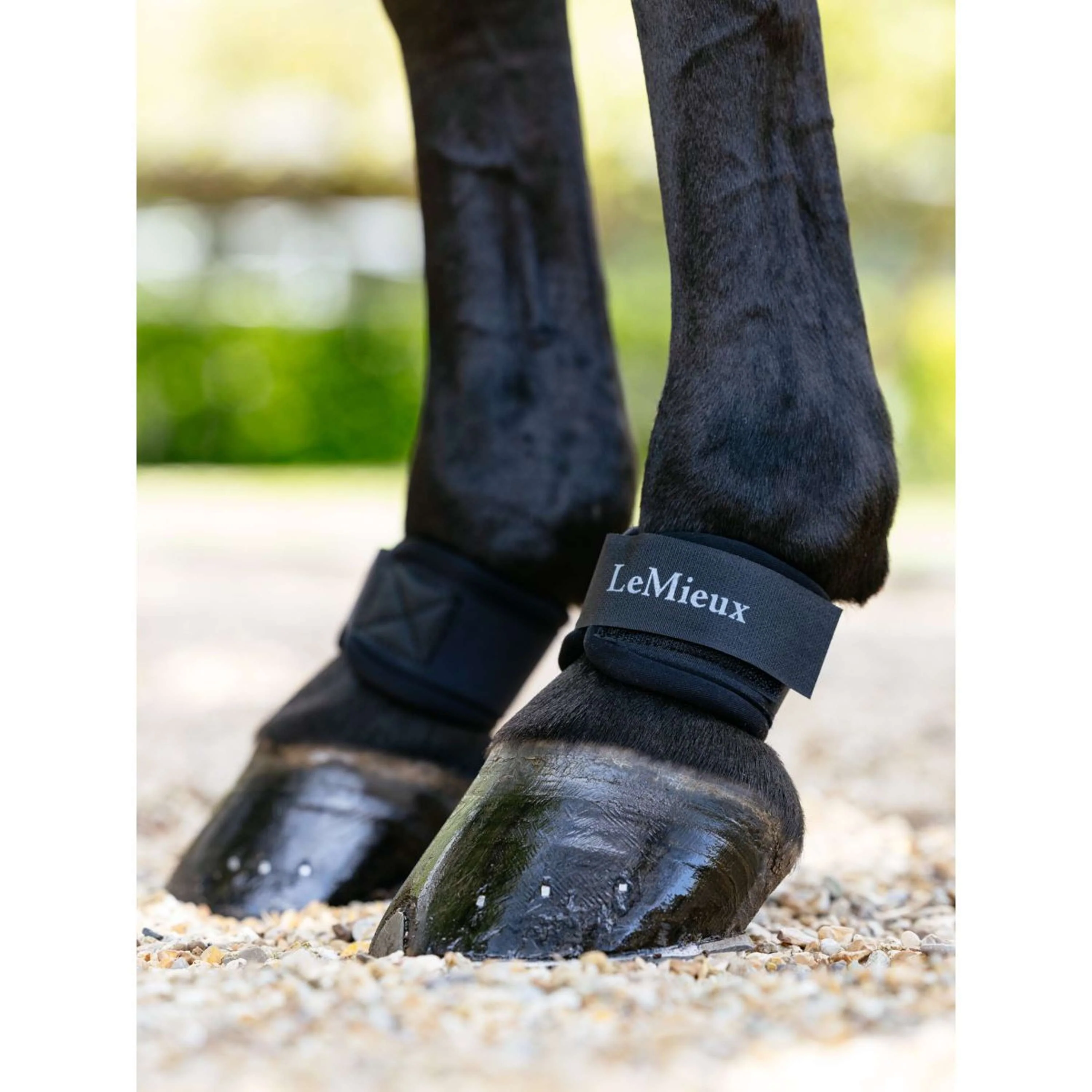 LeMieux Fesselschutz Neoprene Schwarz