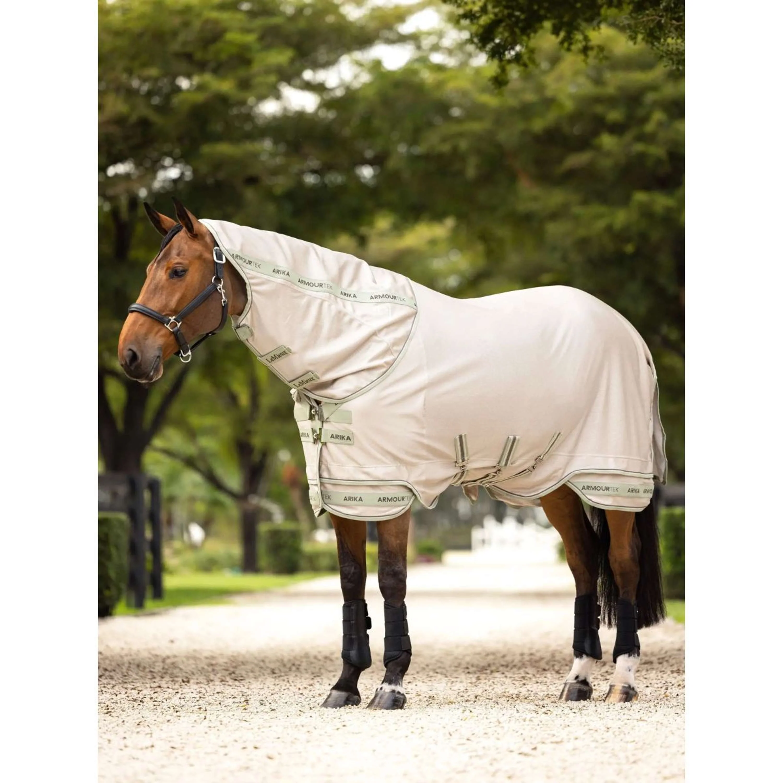LeMieux Fliegendecke Arika Armour-Tek SS25 Stone/Fern