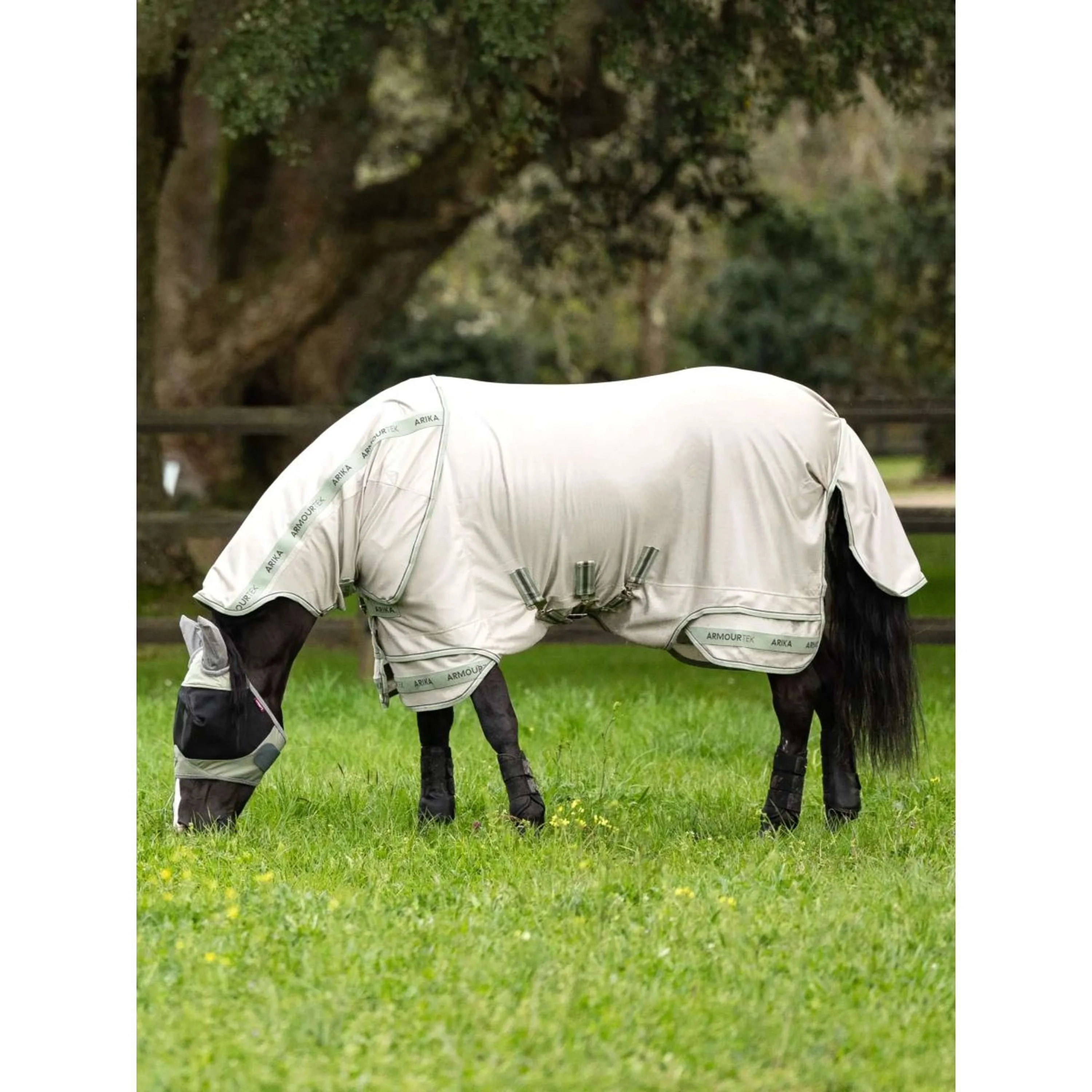 LeMieux Fliegendecke Arika Armour-Tek SS25 Stone/Fern - Image 3
