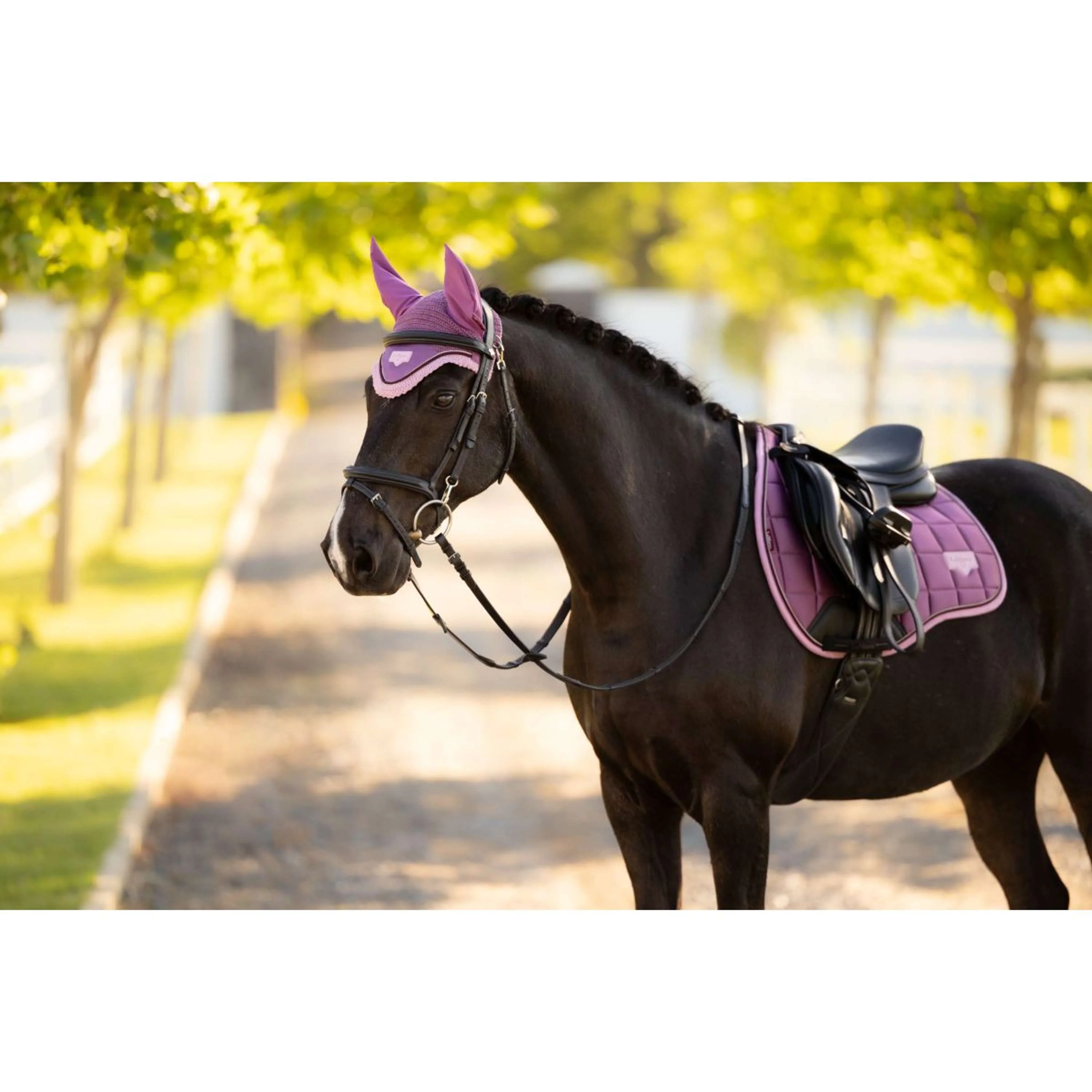 LeMieux Schabracke Loire Classic Close Contact Square Springen Mallow - Image 9