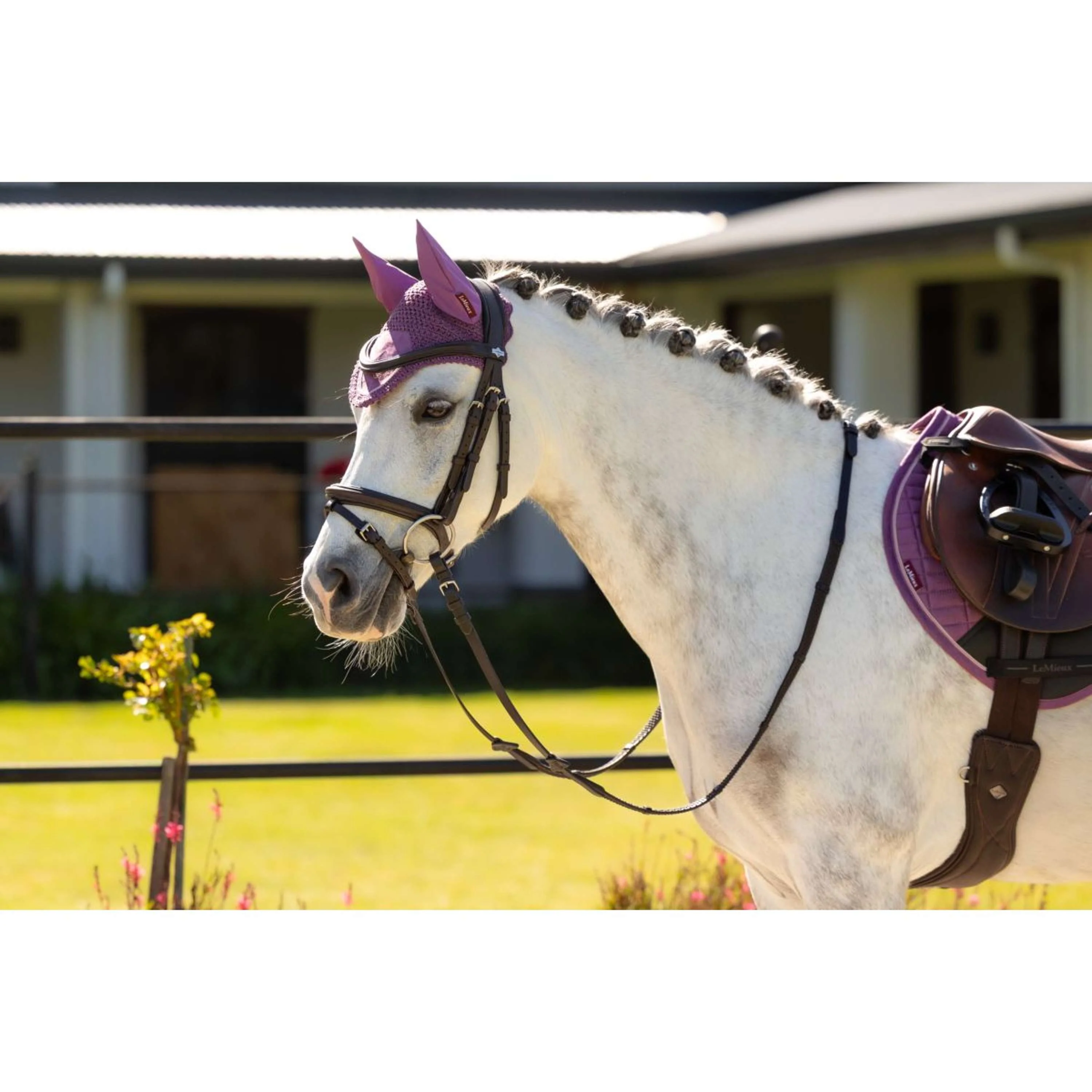 LeMieux Fliegenhaube Mini Classic Mallow - Image 2