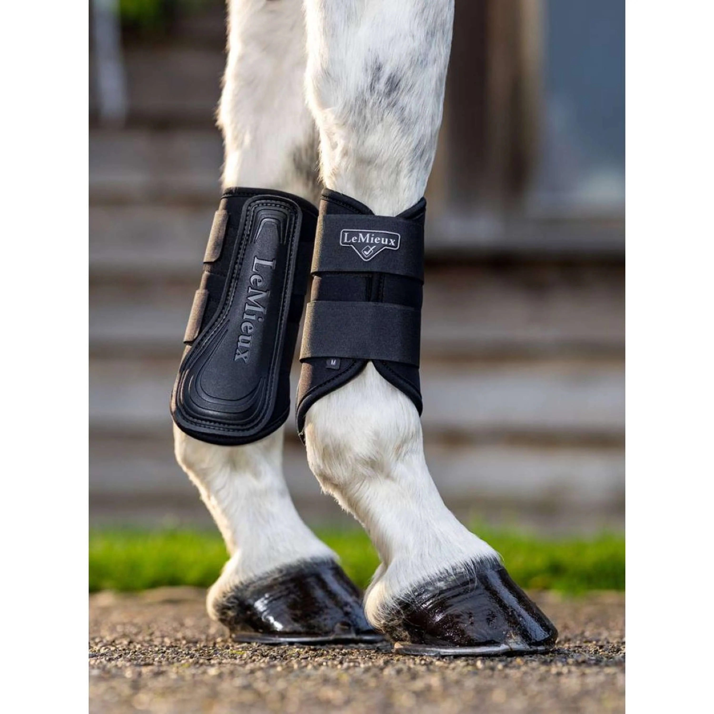 LeMieux Gamaschen Grafter Brushing Schwarz - Image 3