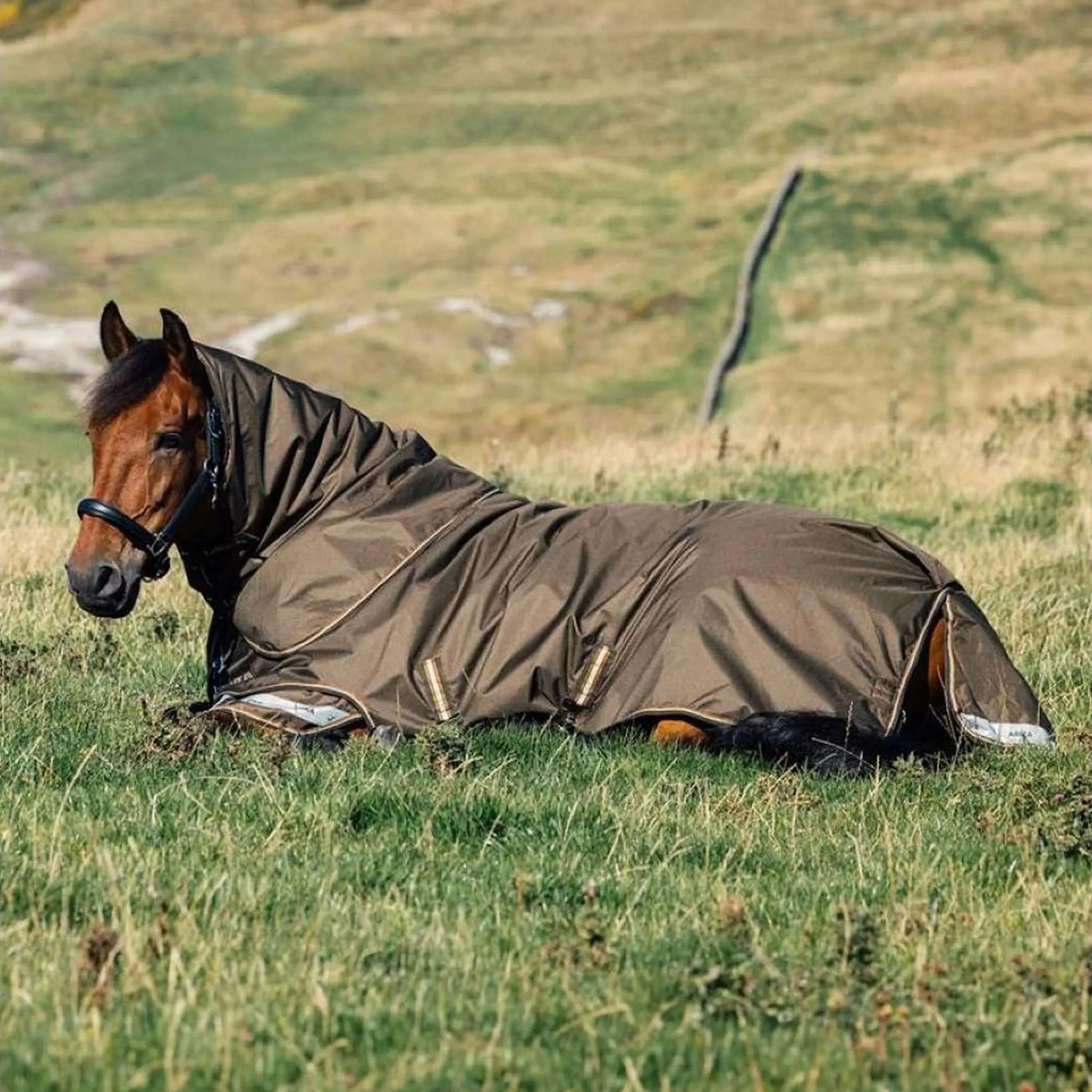 LeMieux Outdoordecke Arika 600D 100g Alpine - Image 3