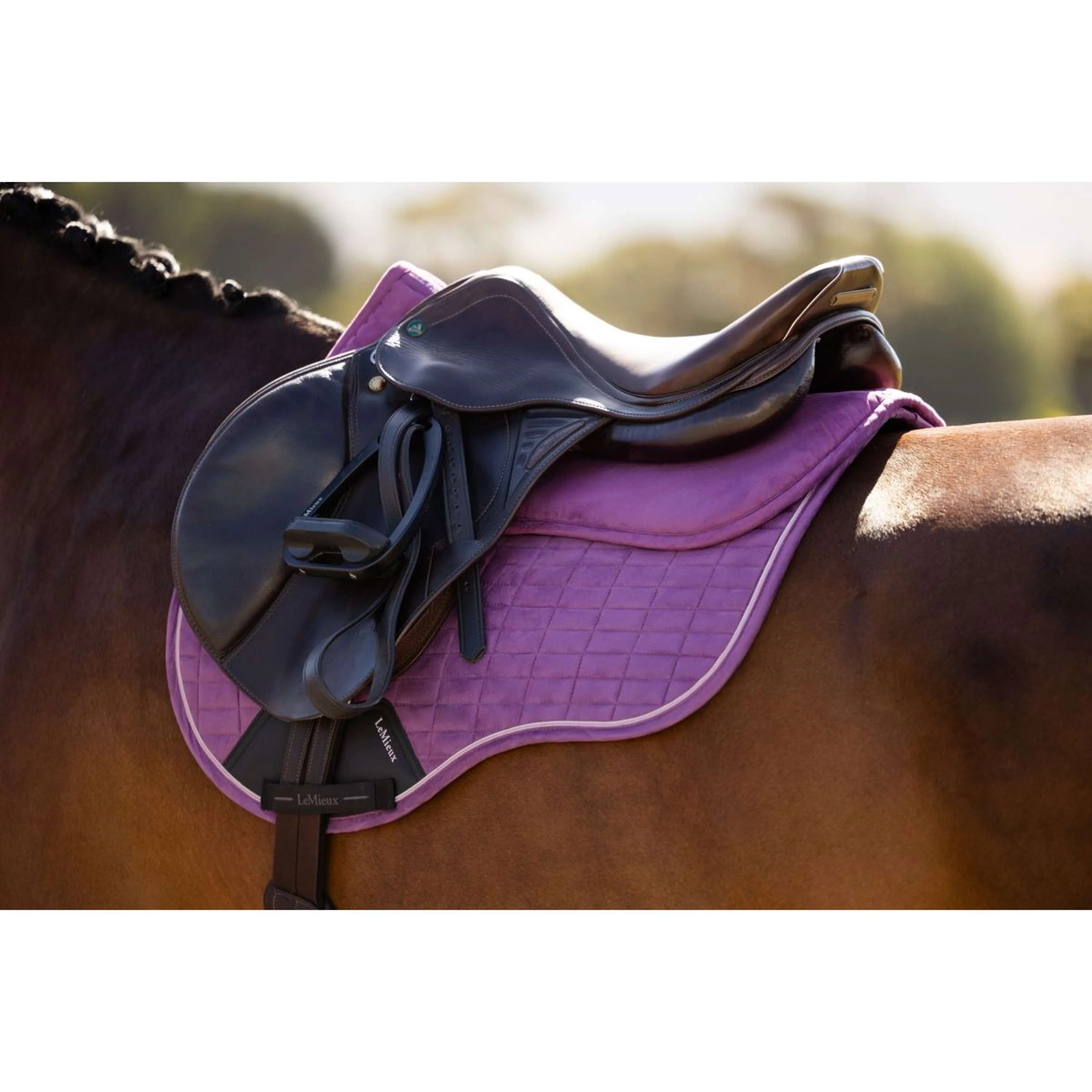 LeMieux Sattelunterleger Suede Mallow - Image 4