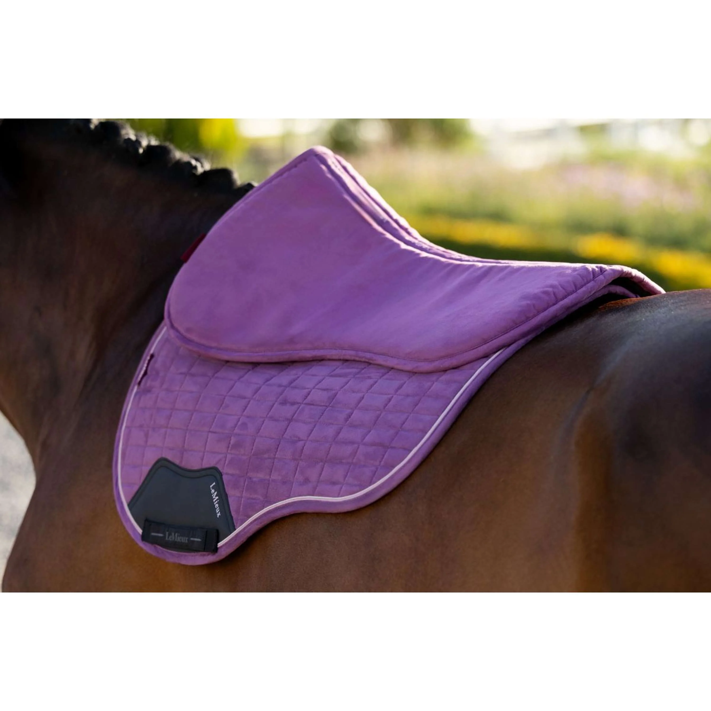 LeMieux Sattelunterleger Suede Mallow - Image 6