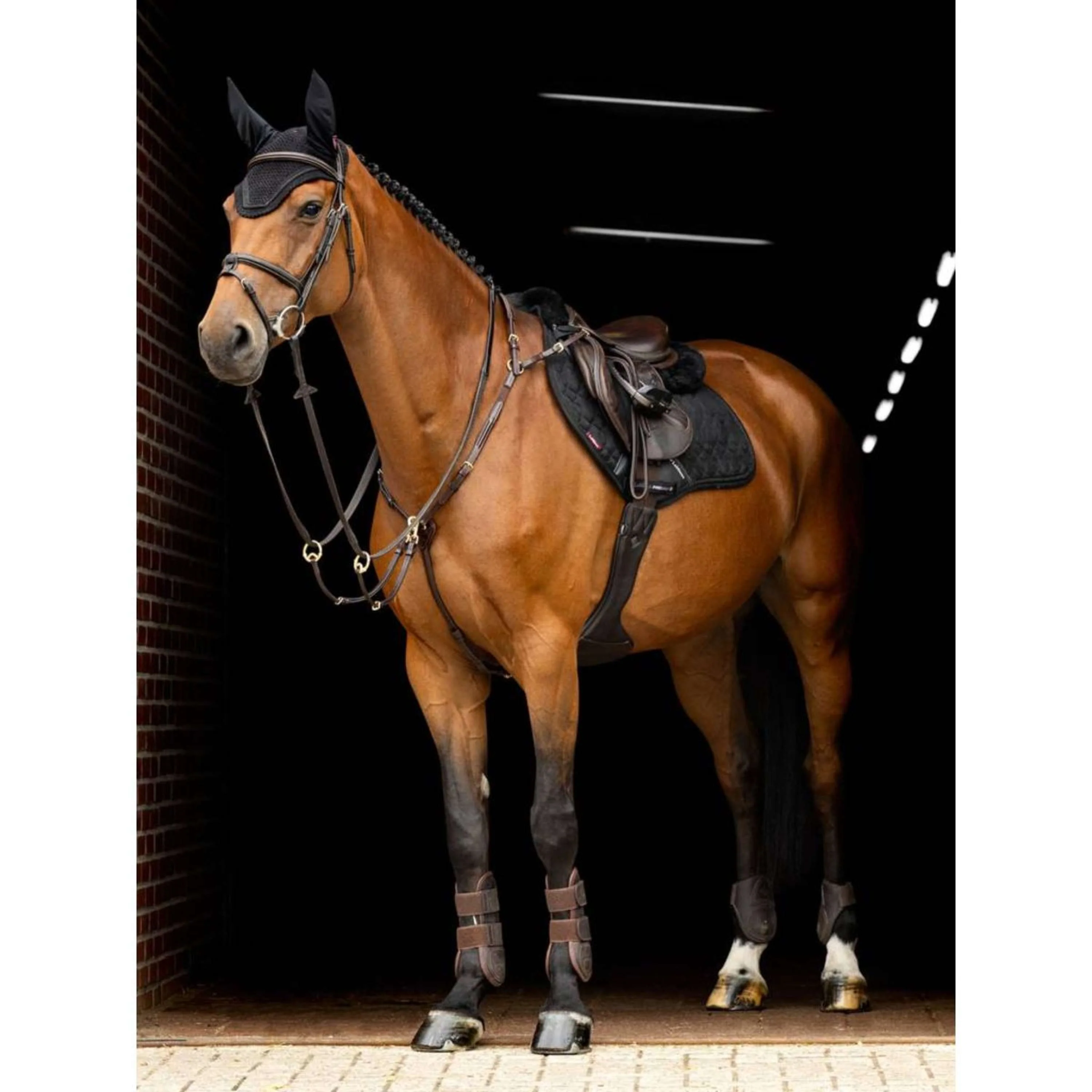 LeMieux Schabracke Crystal Suede Close Contact Schwarz - Image 4