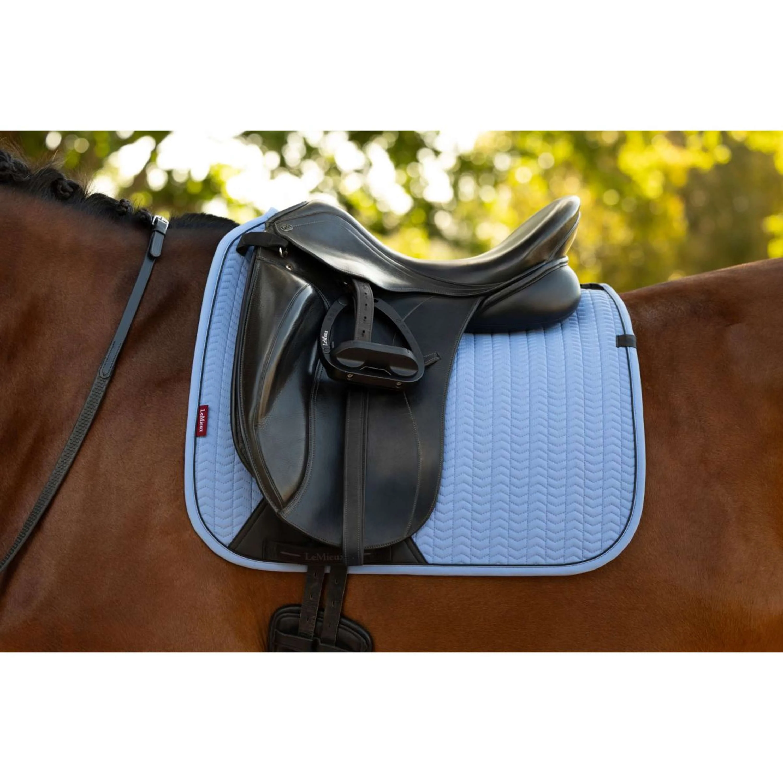 LeMieux Schabracke Essence Square Dressur Powder Blue - Image 4