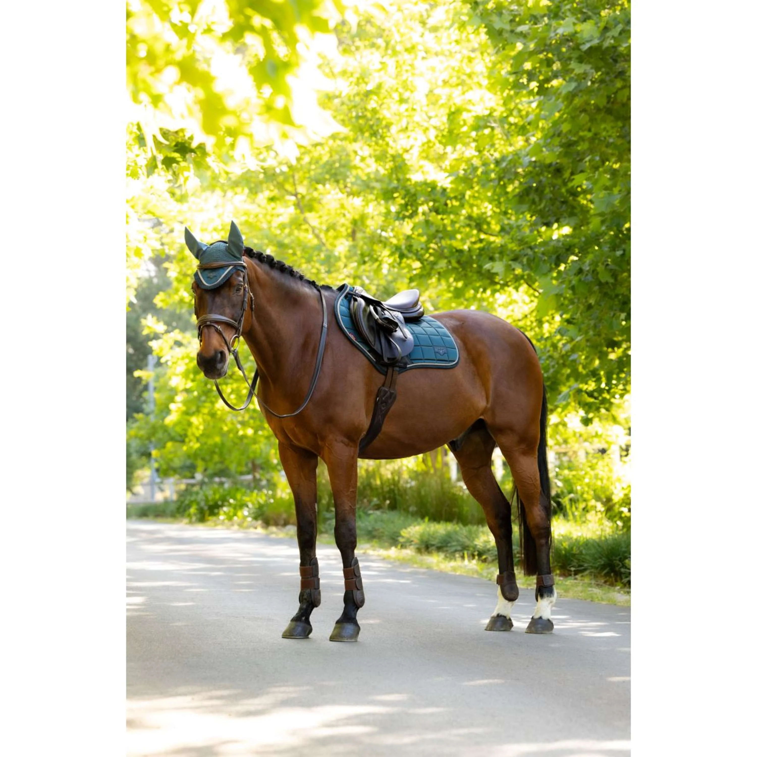 LeMieux Schabracke Loire Classic Close Contact Square Springen Jungle - Image 4