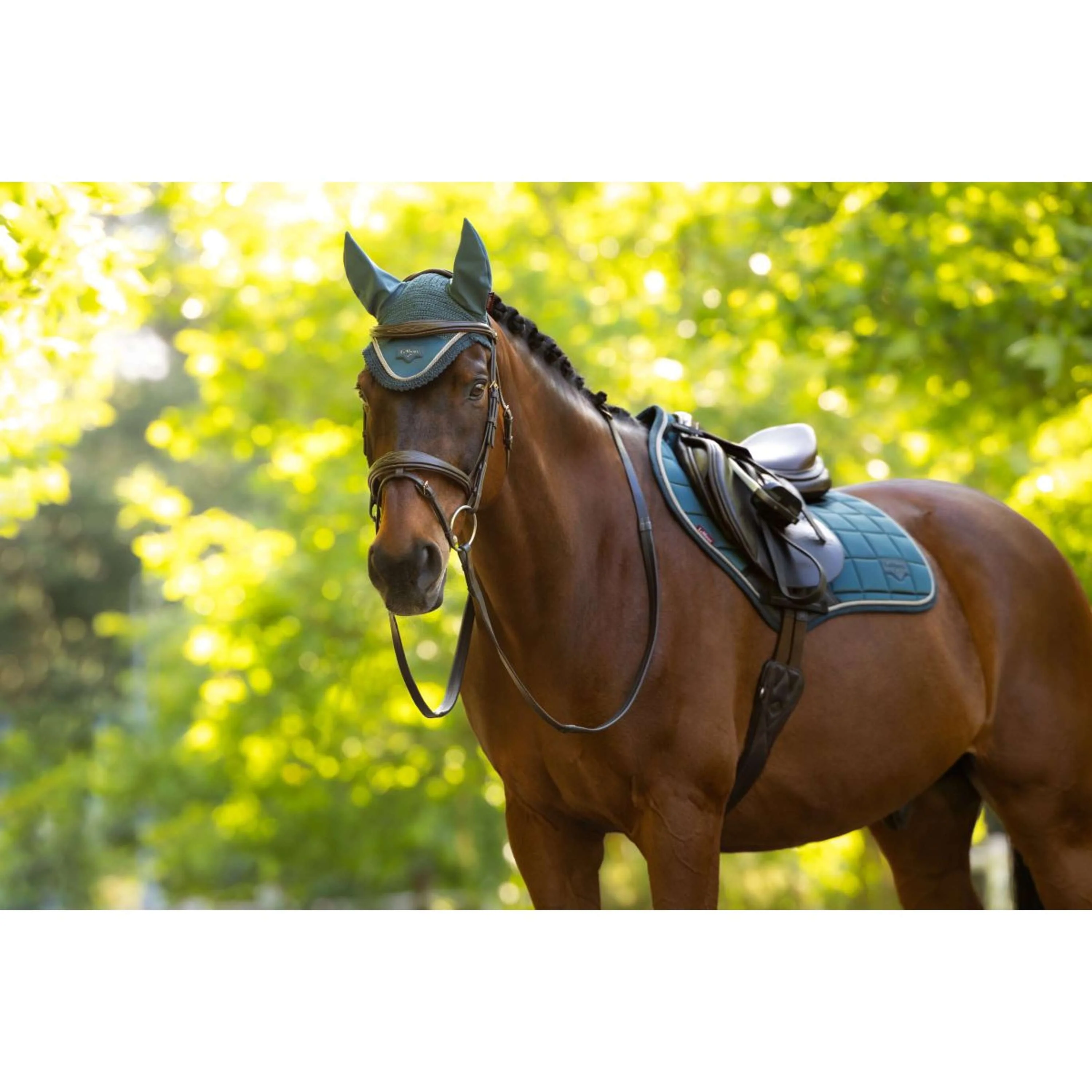 LeMieux Schabracke Loire Classic Close Contact Square Springen Jungle - Image 5