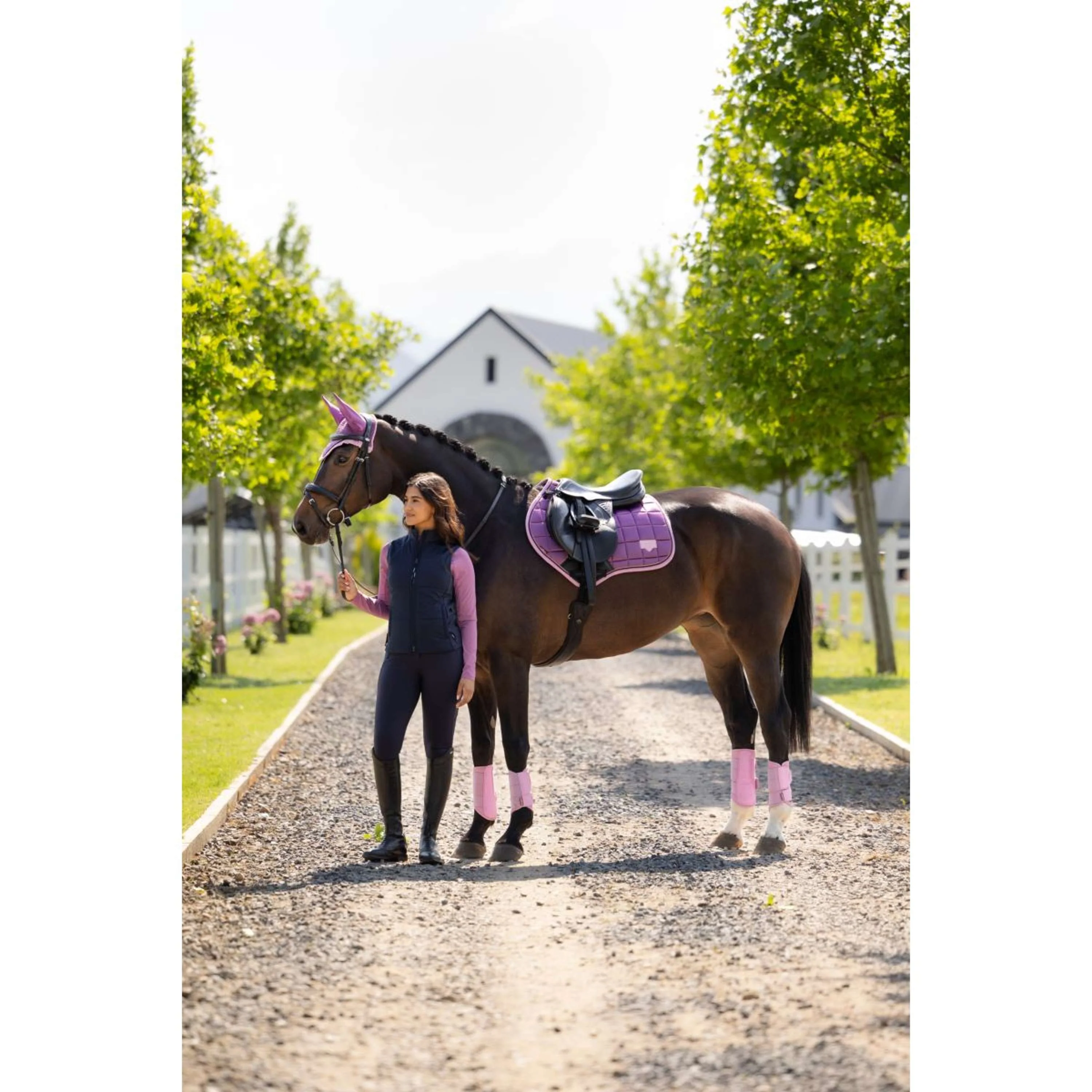 LeMieux Schabracke Loire Classic Close Contact Square Springen Mallow - Image 3