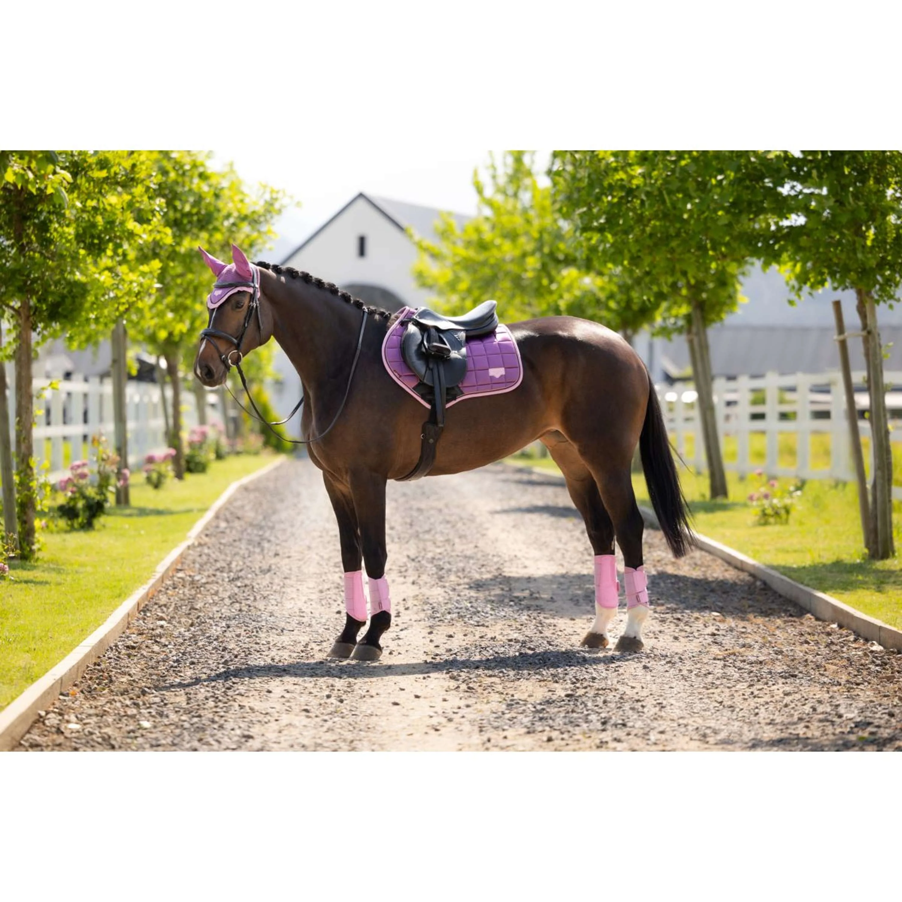 LeMieux Schabracke Loire Classic Close Contact Square Springen Mallow - Image 5