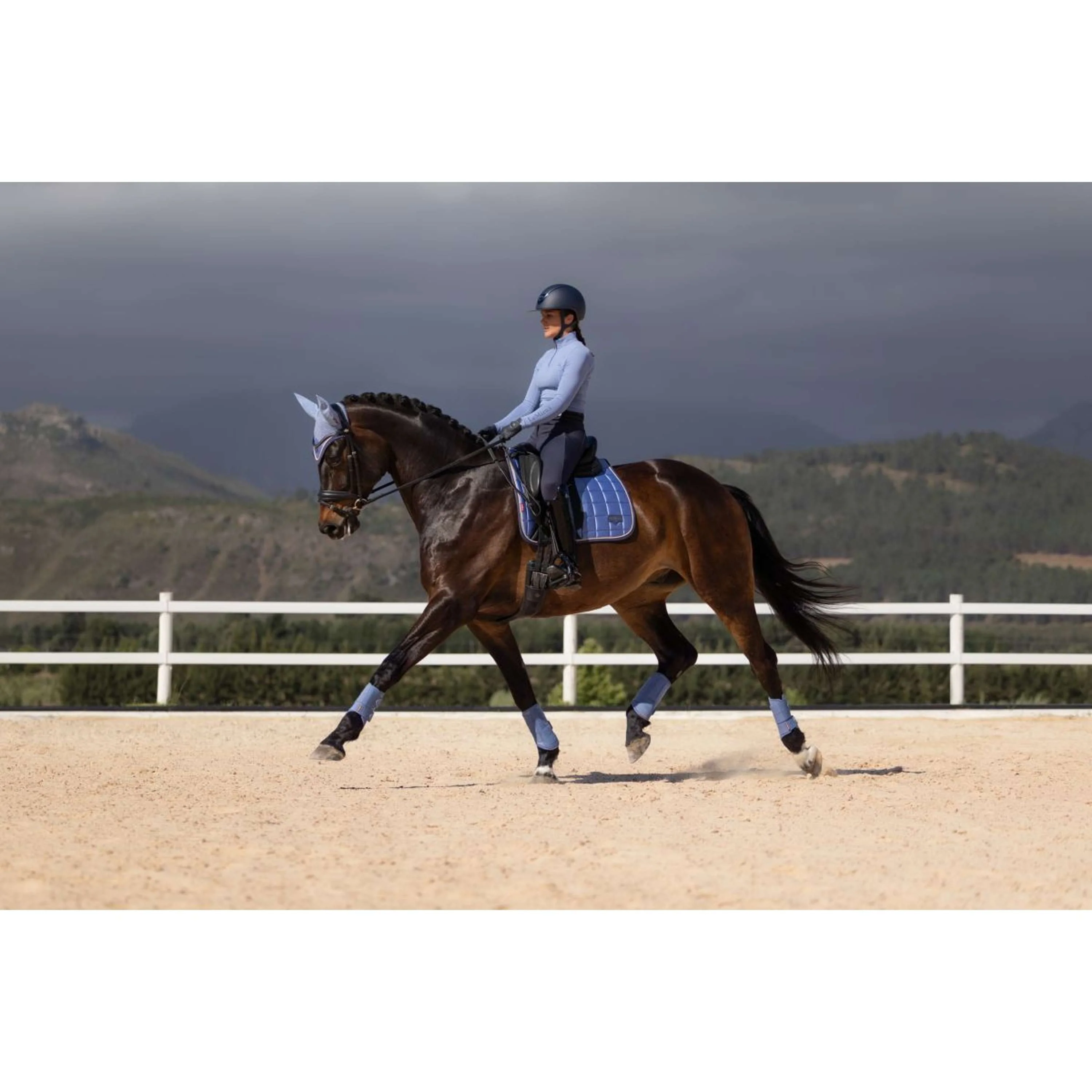 LeMieux Schabracke Loire Classic Square Dressur Powder Blue - Image 3