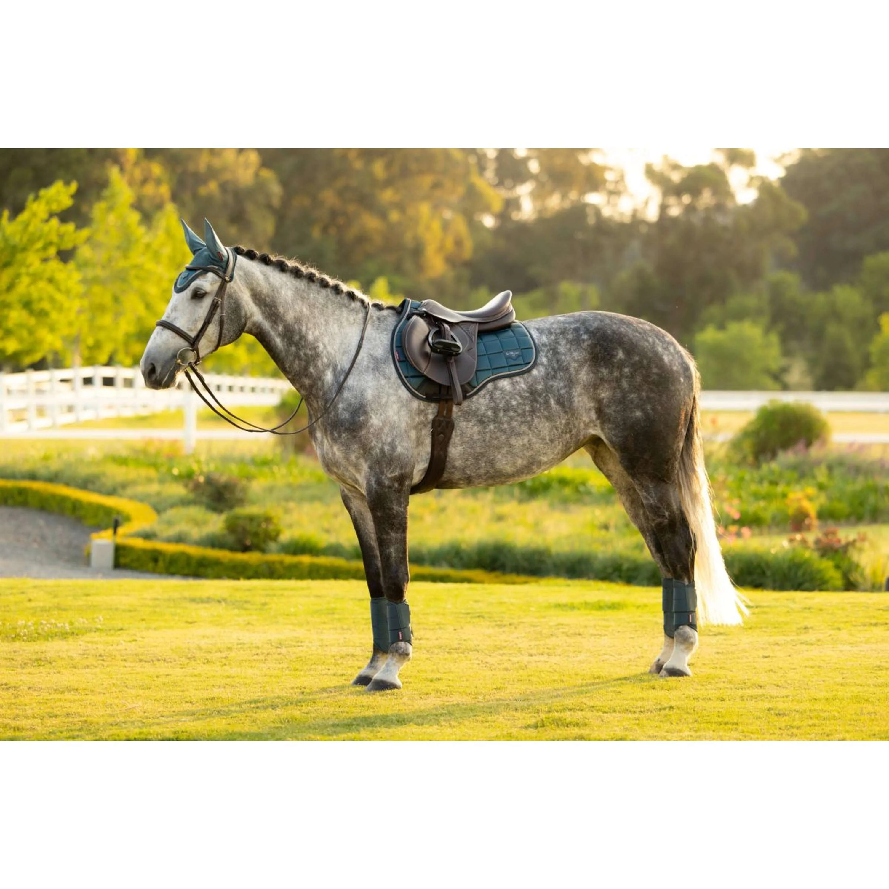 LeMieux Schabracke Loire Classic Square Vielseitigkeit Jungle - Image 11