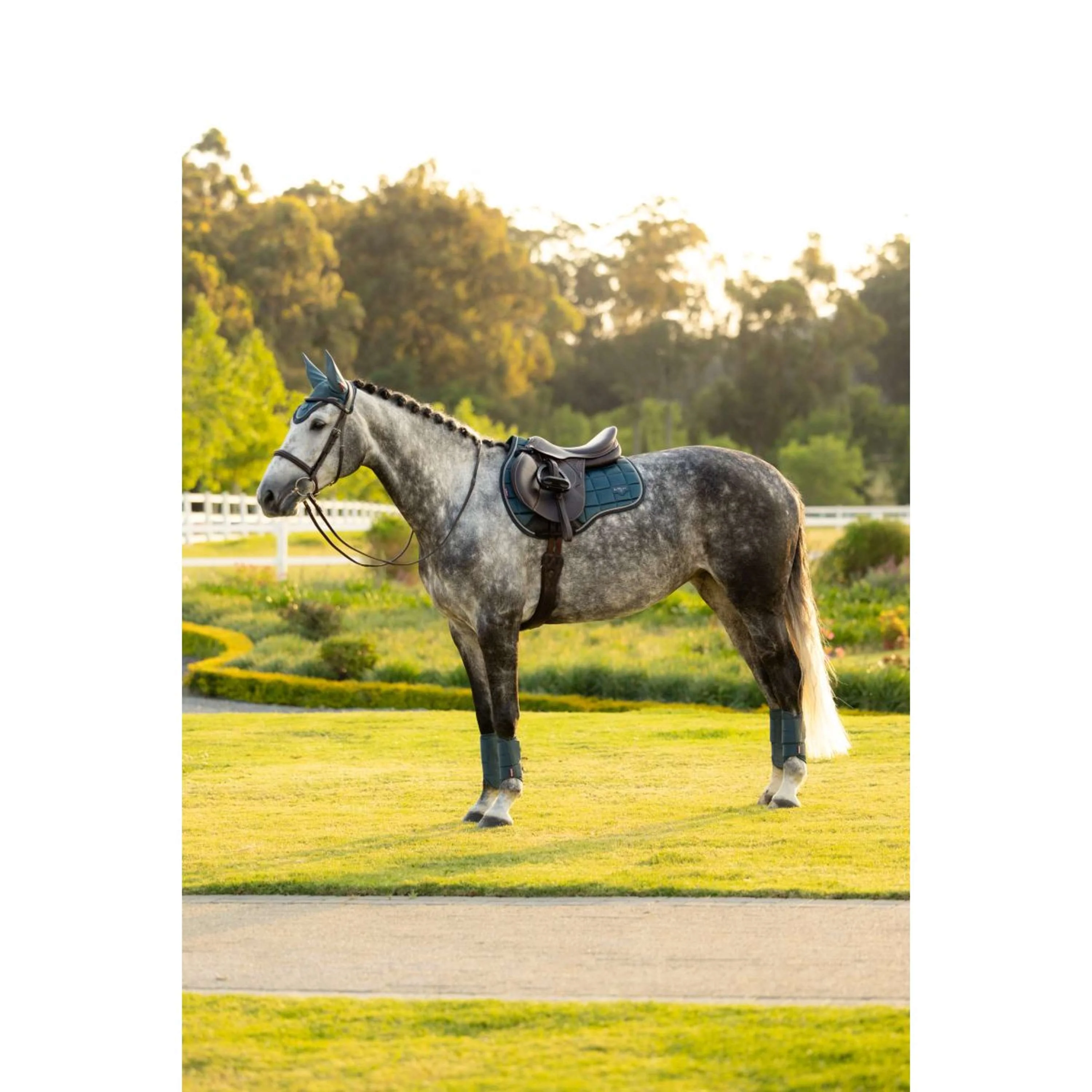 LeMieux Schabracke Loire Classic Square Vielseitigkeit Jungle - Image 12