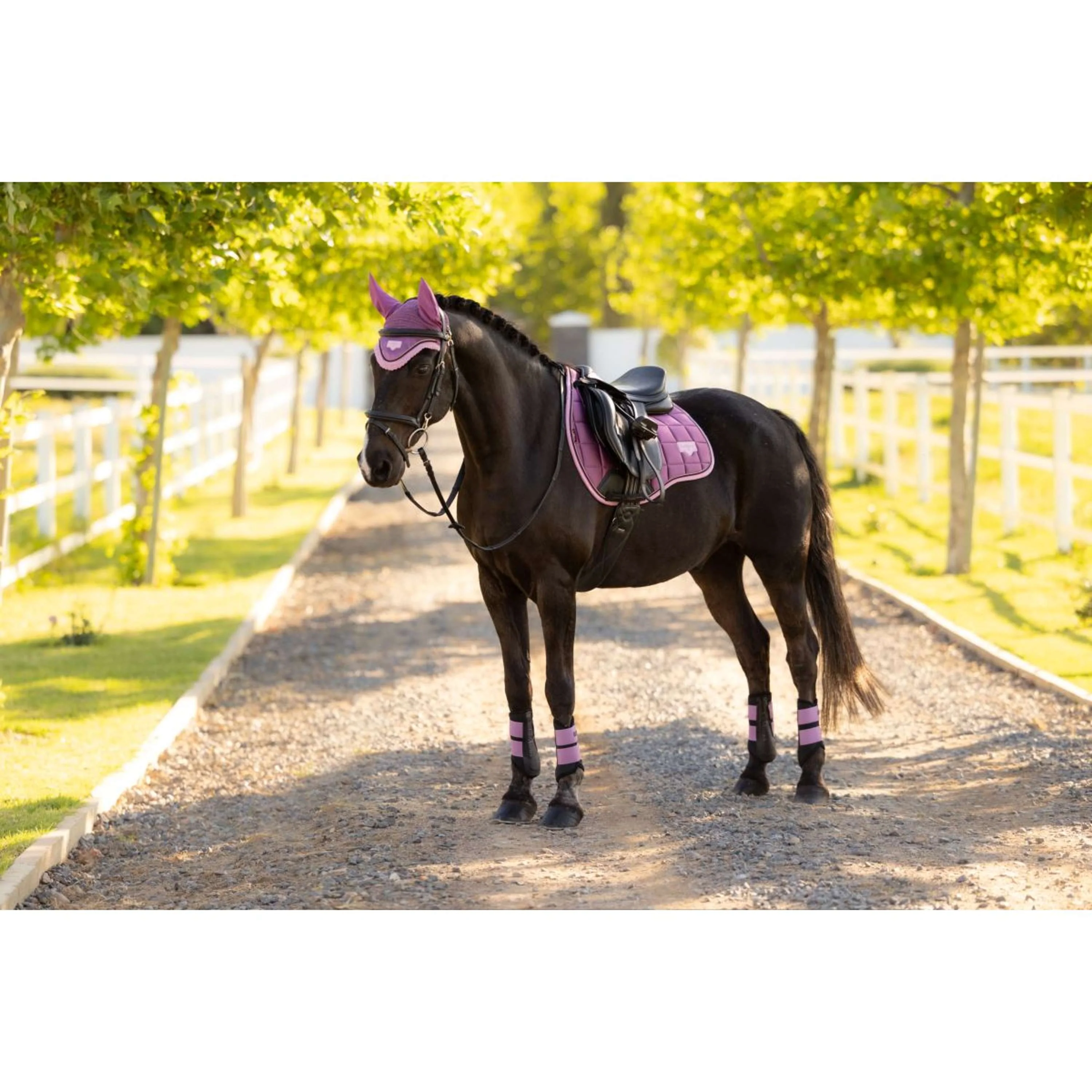 LeMieux Schabracke Loire Classic Square Vielseitigkeit Mallow - Image 10