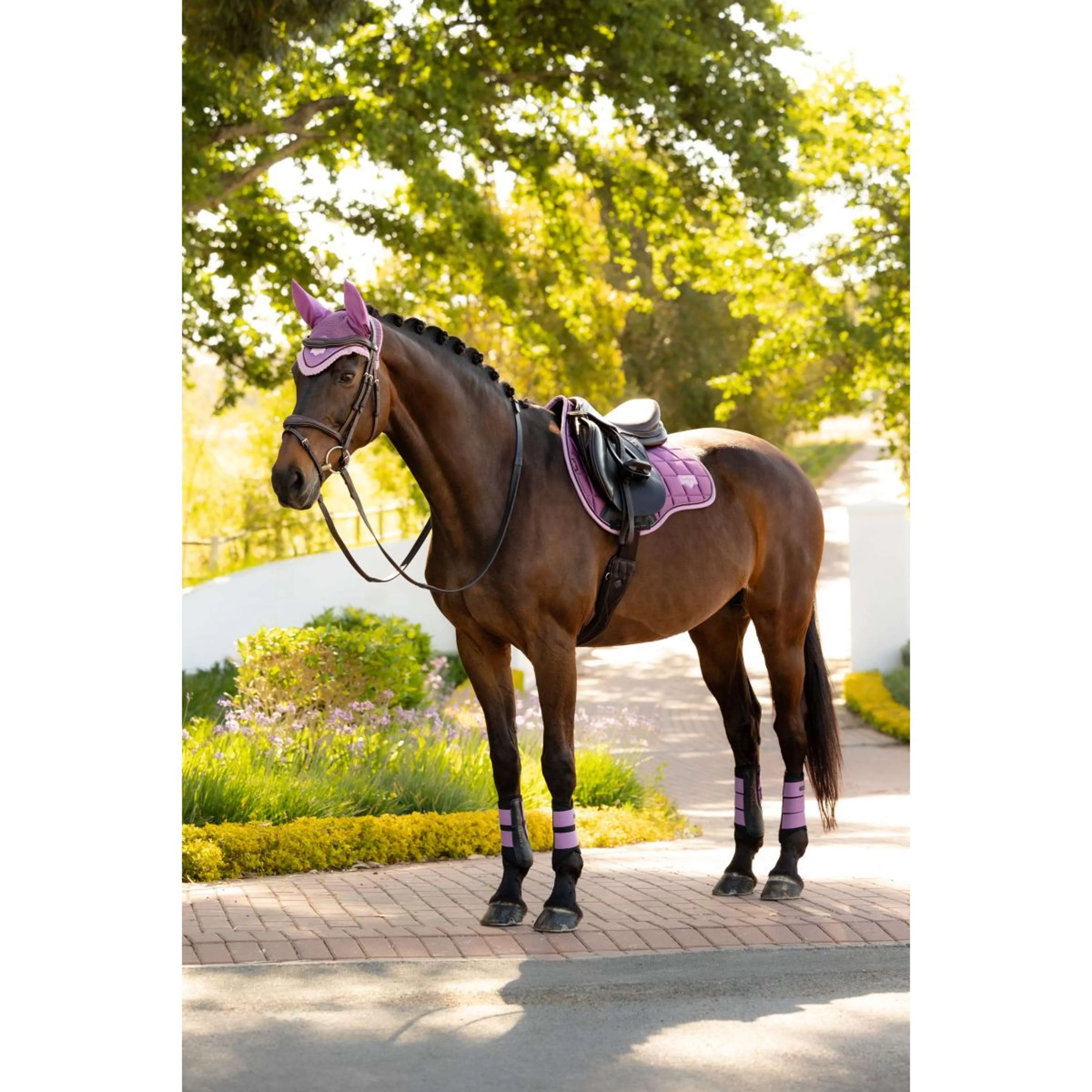 LeMieux Schabracke Loire Classic Square Vielseitigkeit Mallow - Image 8