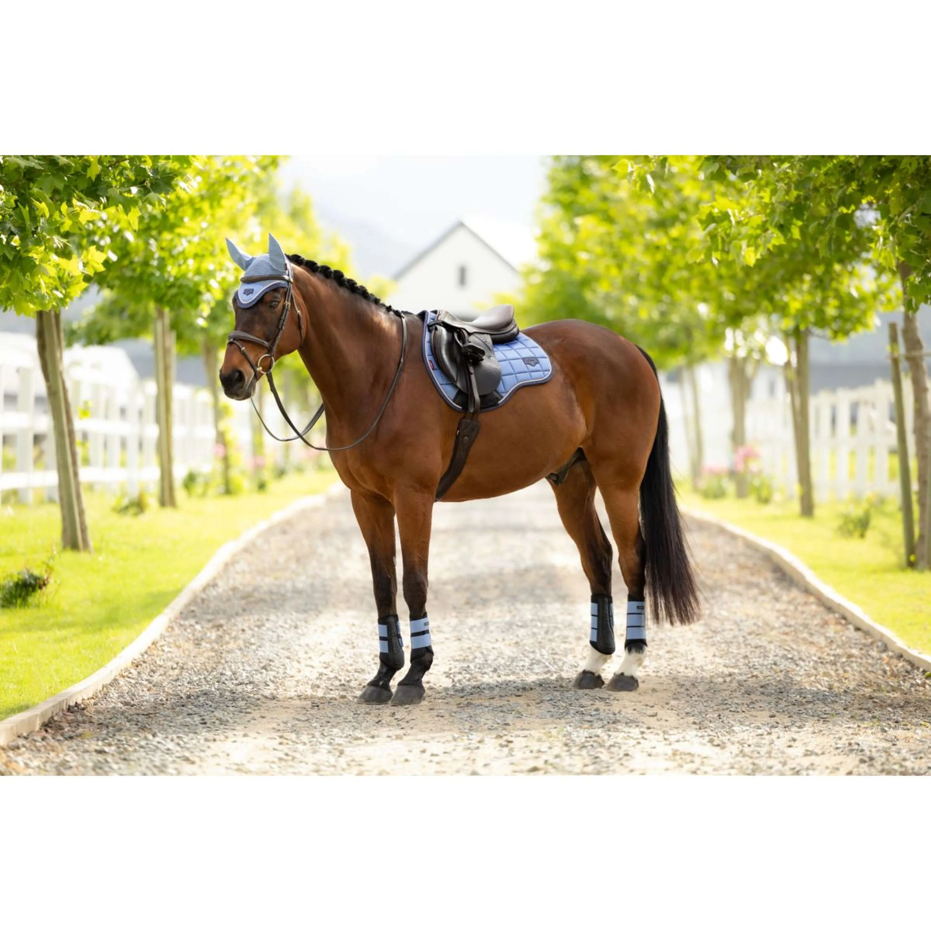 LeMieux Schabracke Loire Classic Square Vielseitigkeit Powder Blue - Image 9