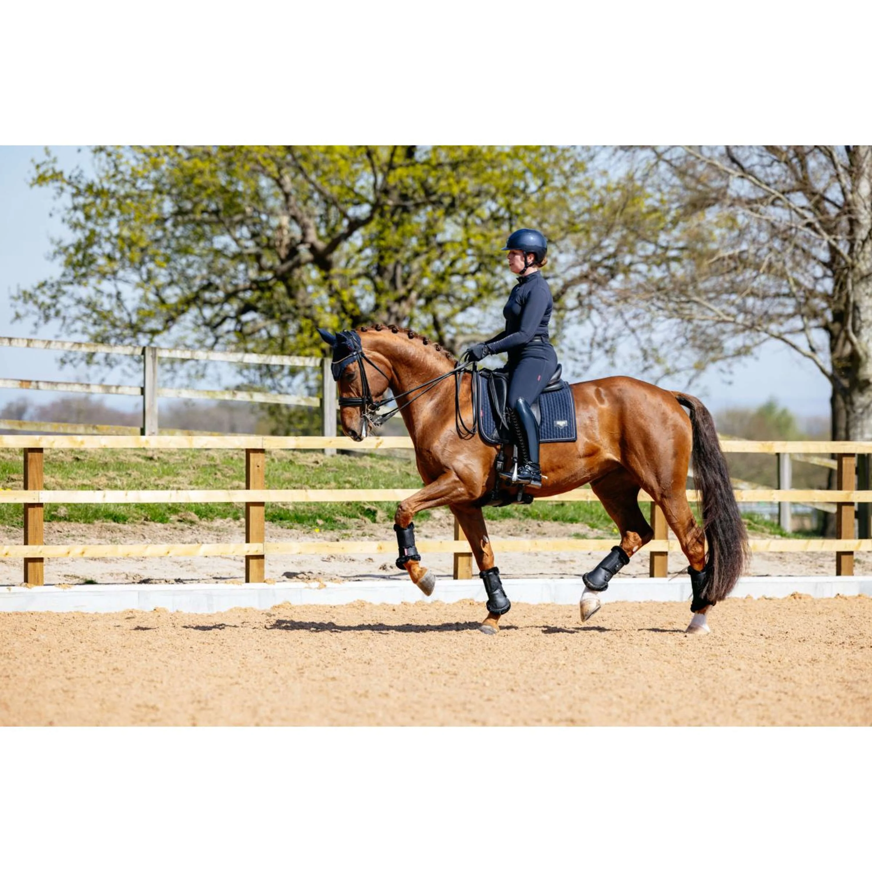 LeMieux Schabracke Puissance Suede Dressur Navy - Image 6