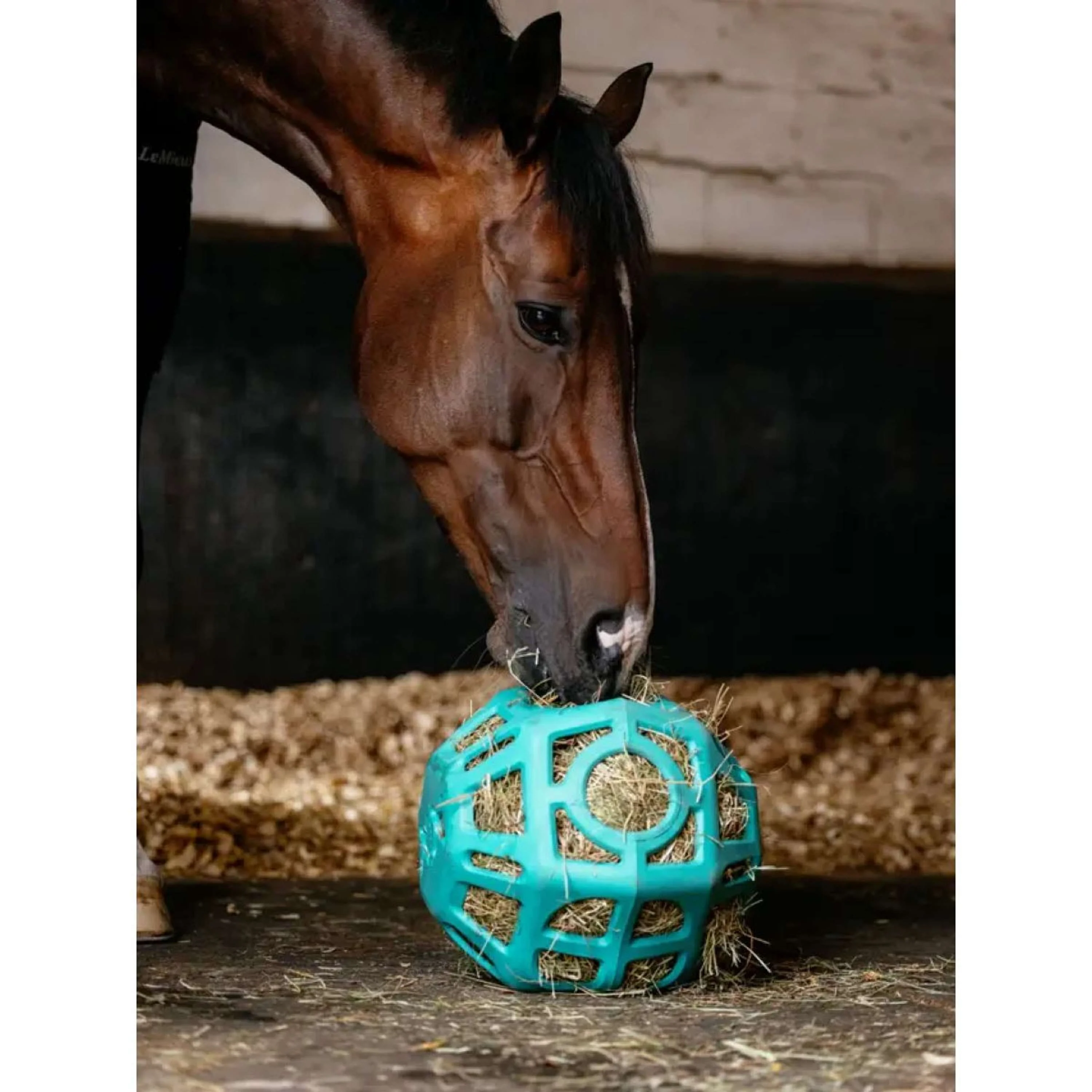LeMieux Spielball Hay Lagoon - Image 2