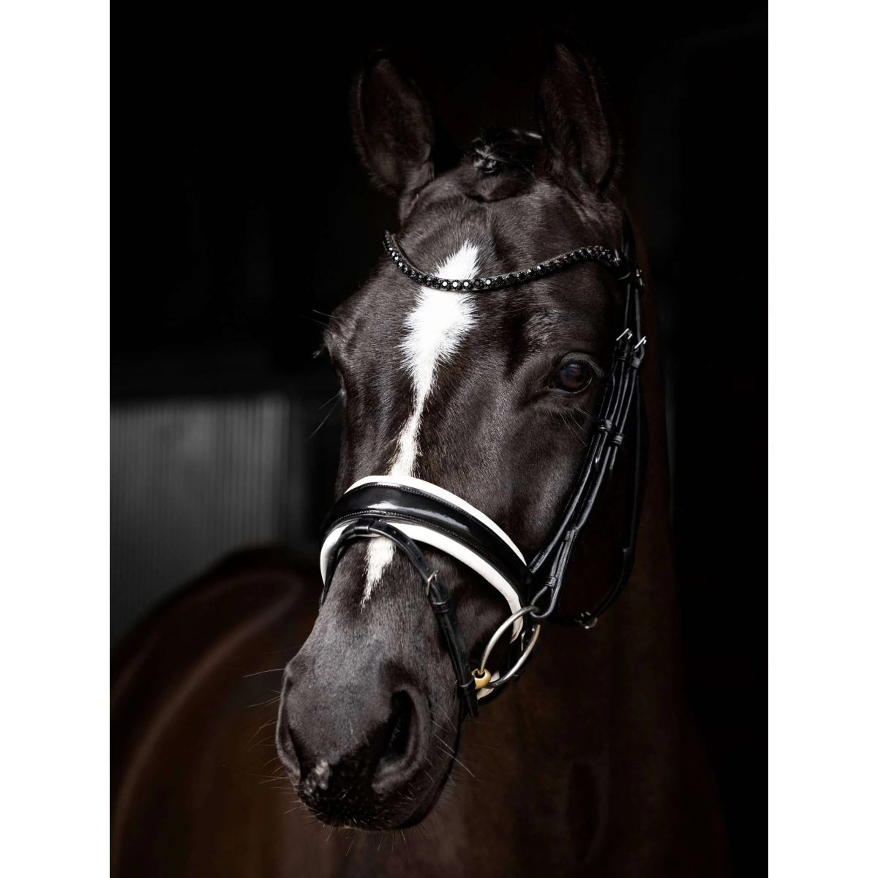 LeMieux Zaum Kudos Patent Dressur Schwarz/Silber - Image 3