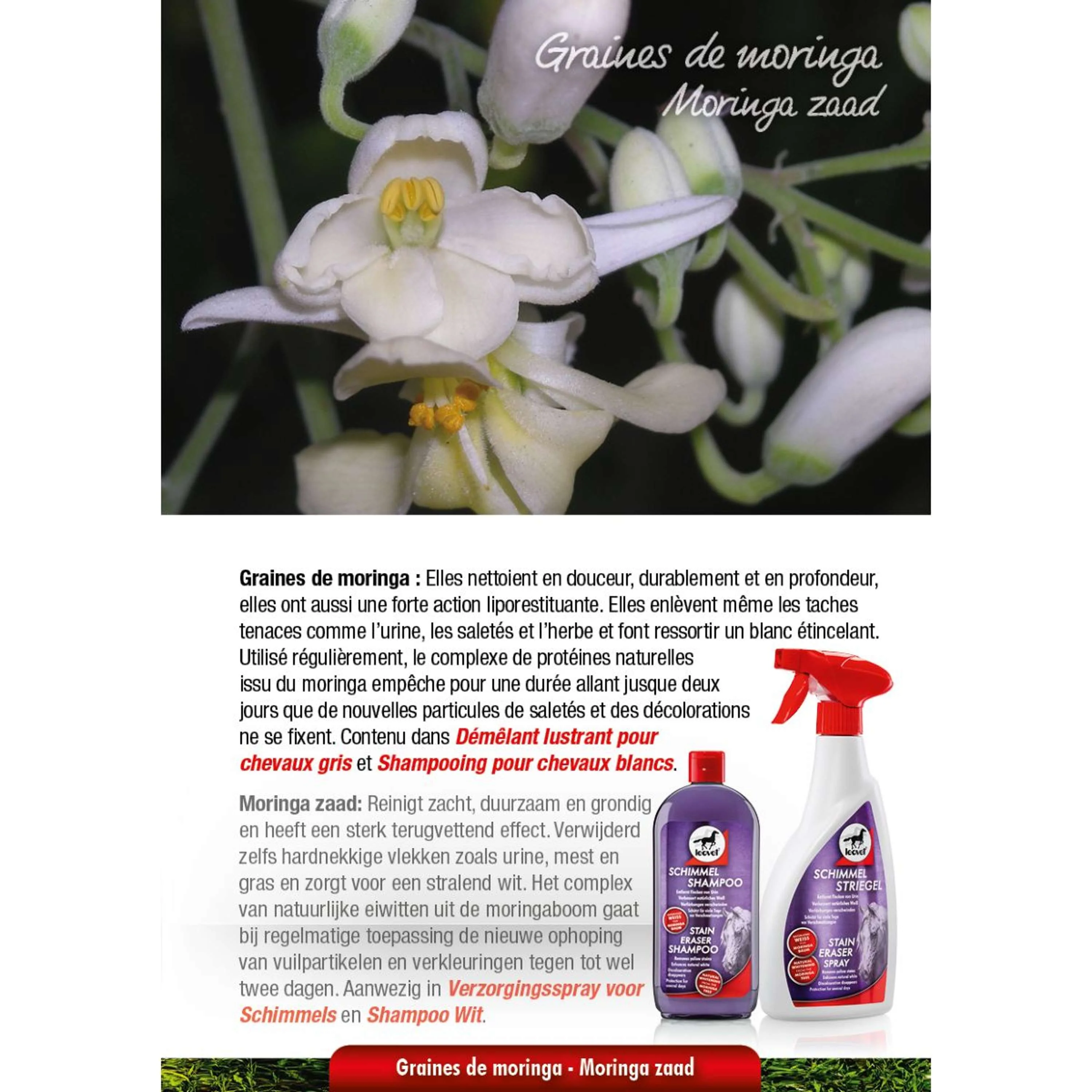 Leovet Milton Spray - Image 2