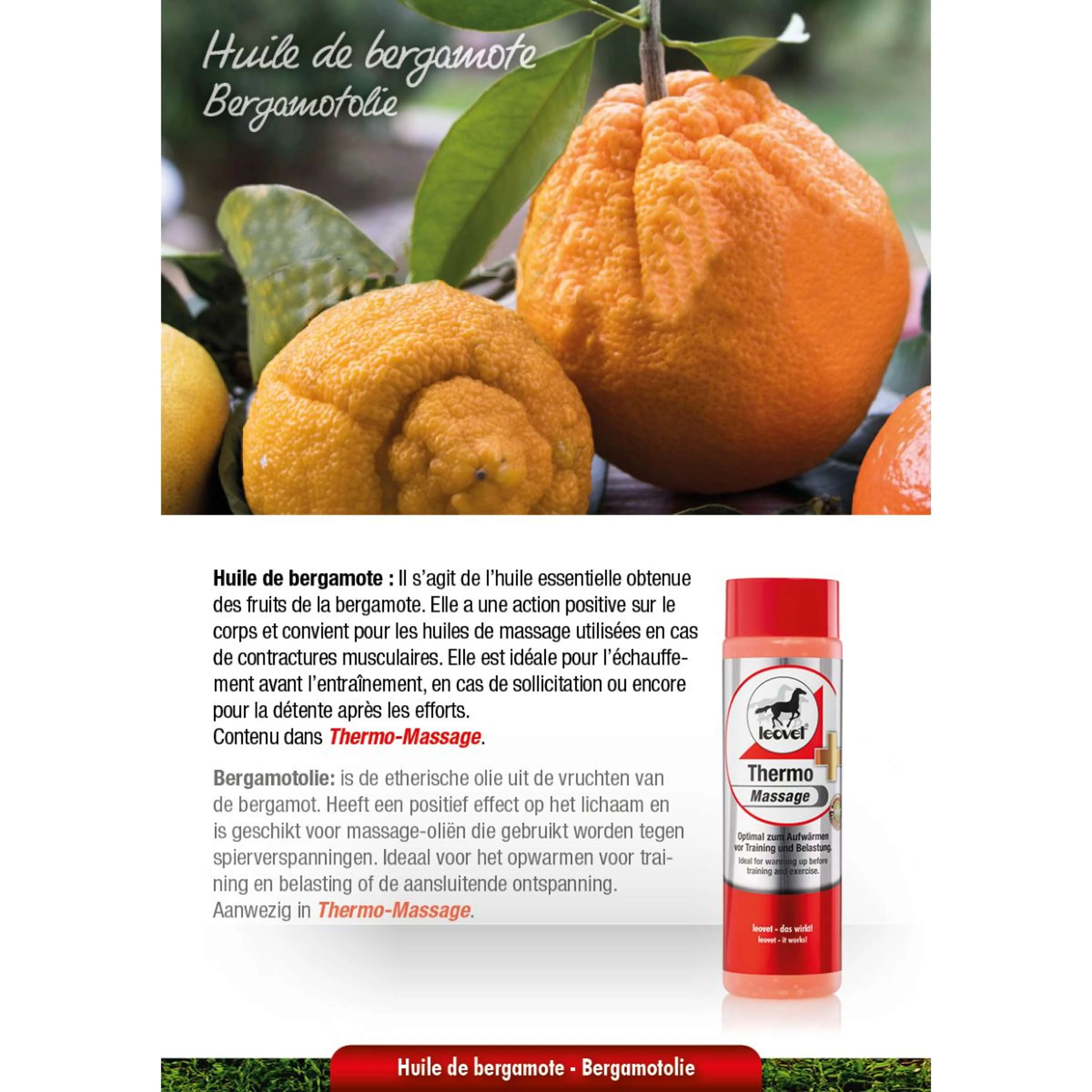 Leovet Thermo Massage - Image 2