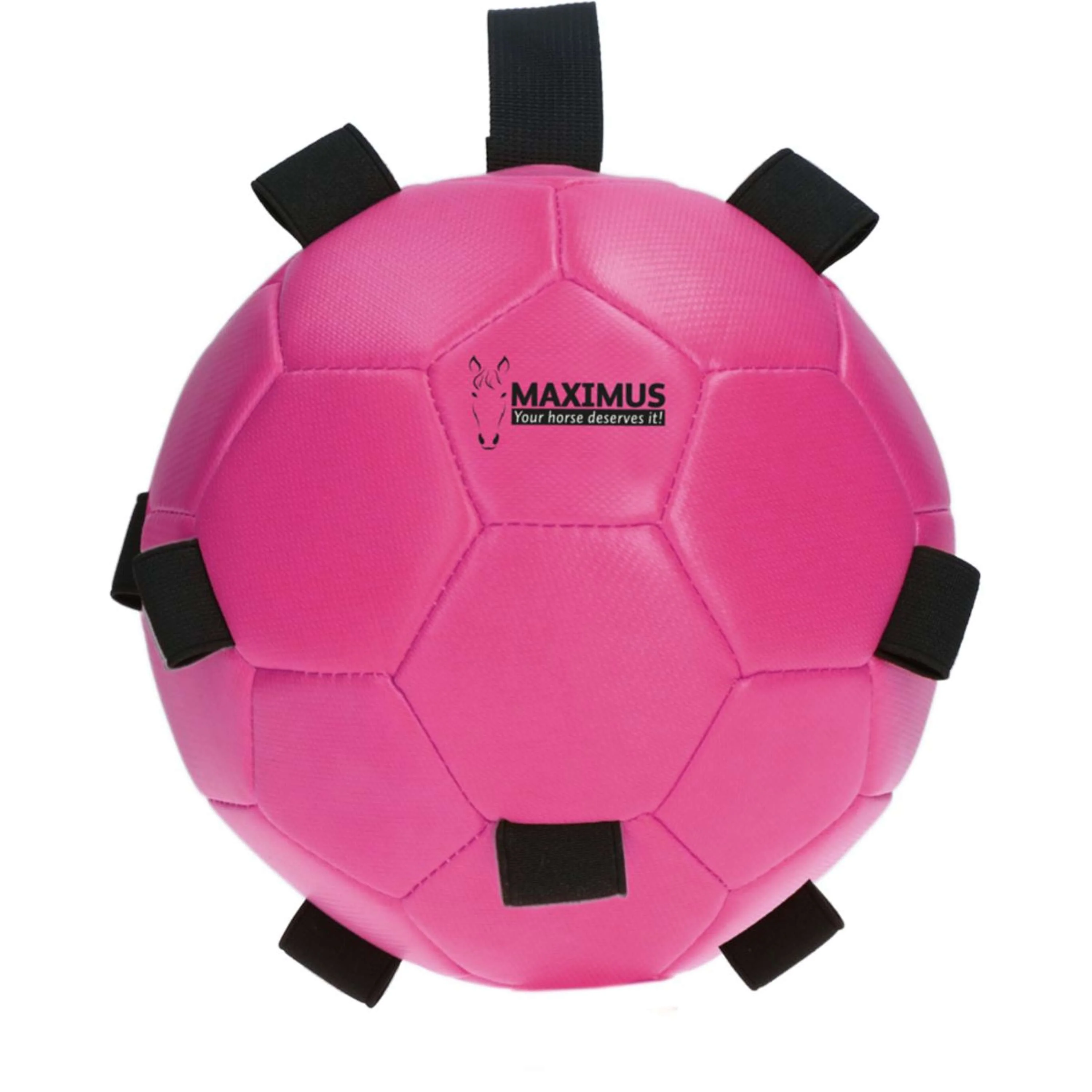 Maximus Ball Fun Play Rosa - Image 2