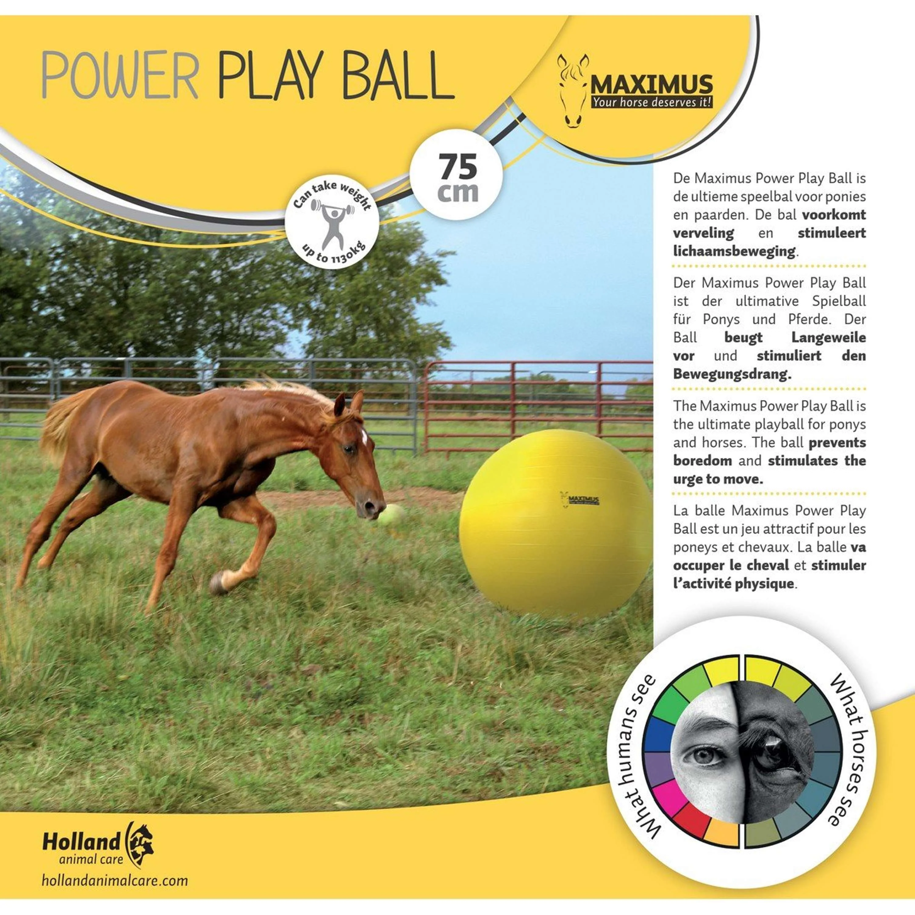 Maximus Power Play Ball Gelb - Image 2
