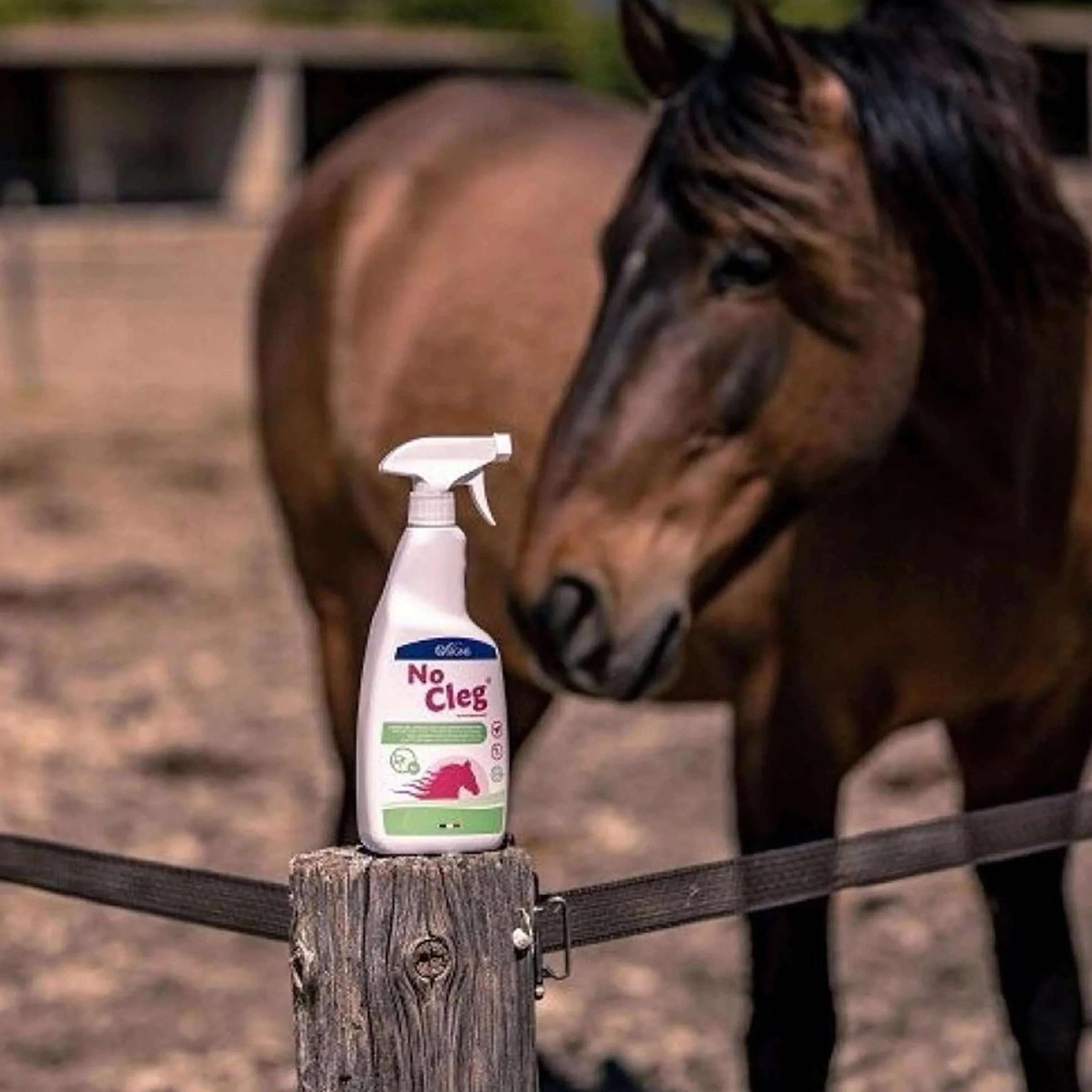 NoCleg Spray - Image 5
