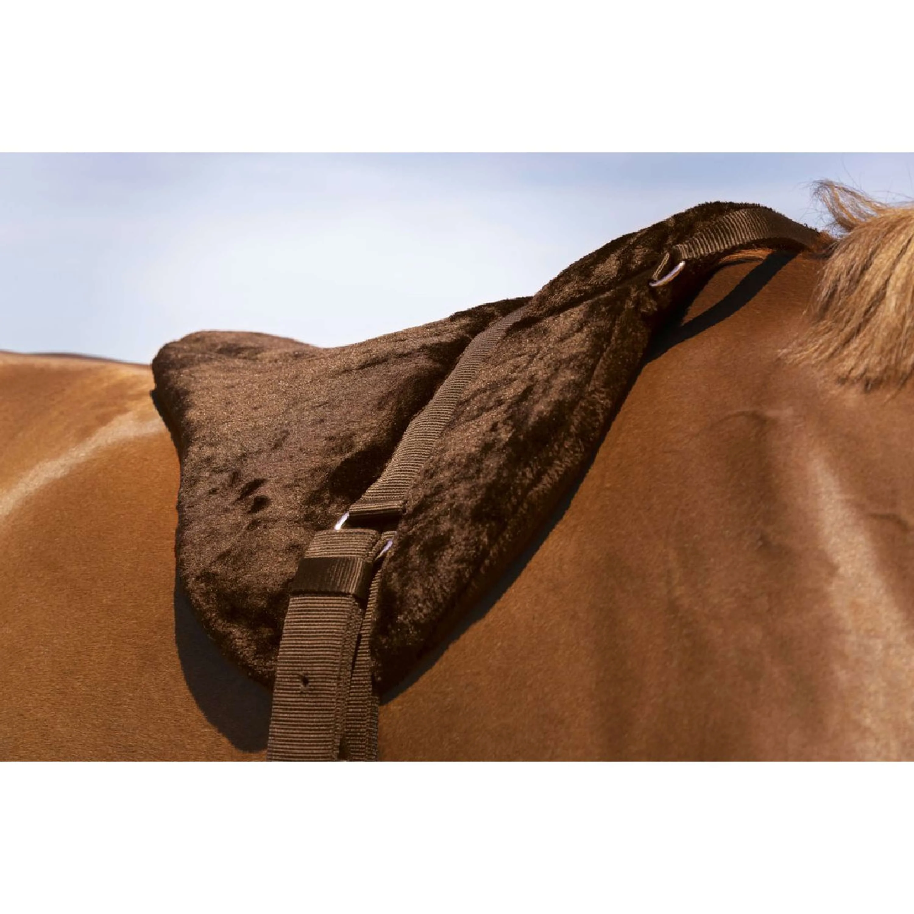 Norton Bareback Pad Confort Braun - Image 2