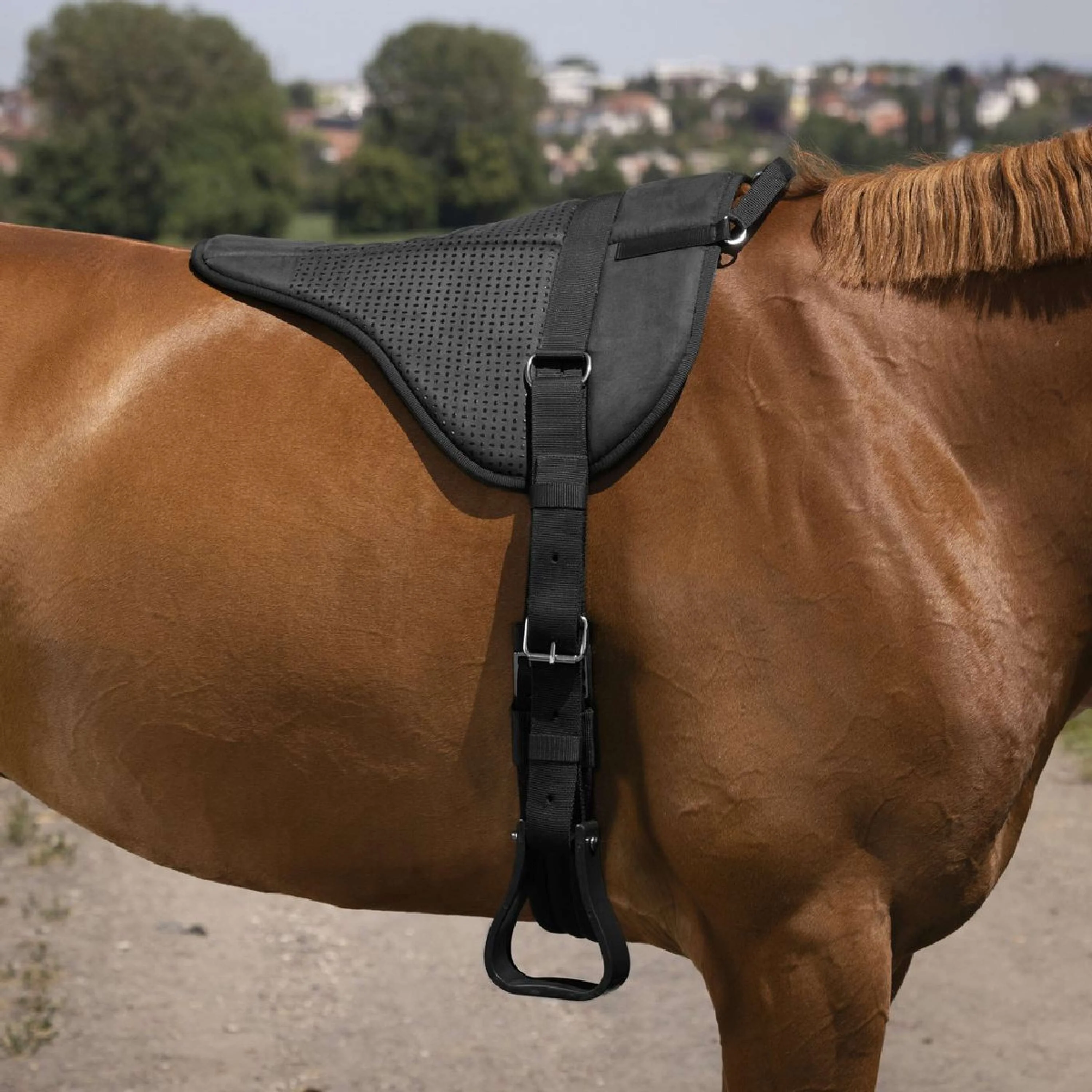 Norton Bareback Pad Silikon Schwarz - Image 2