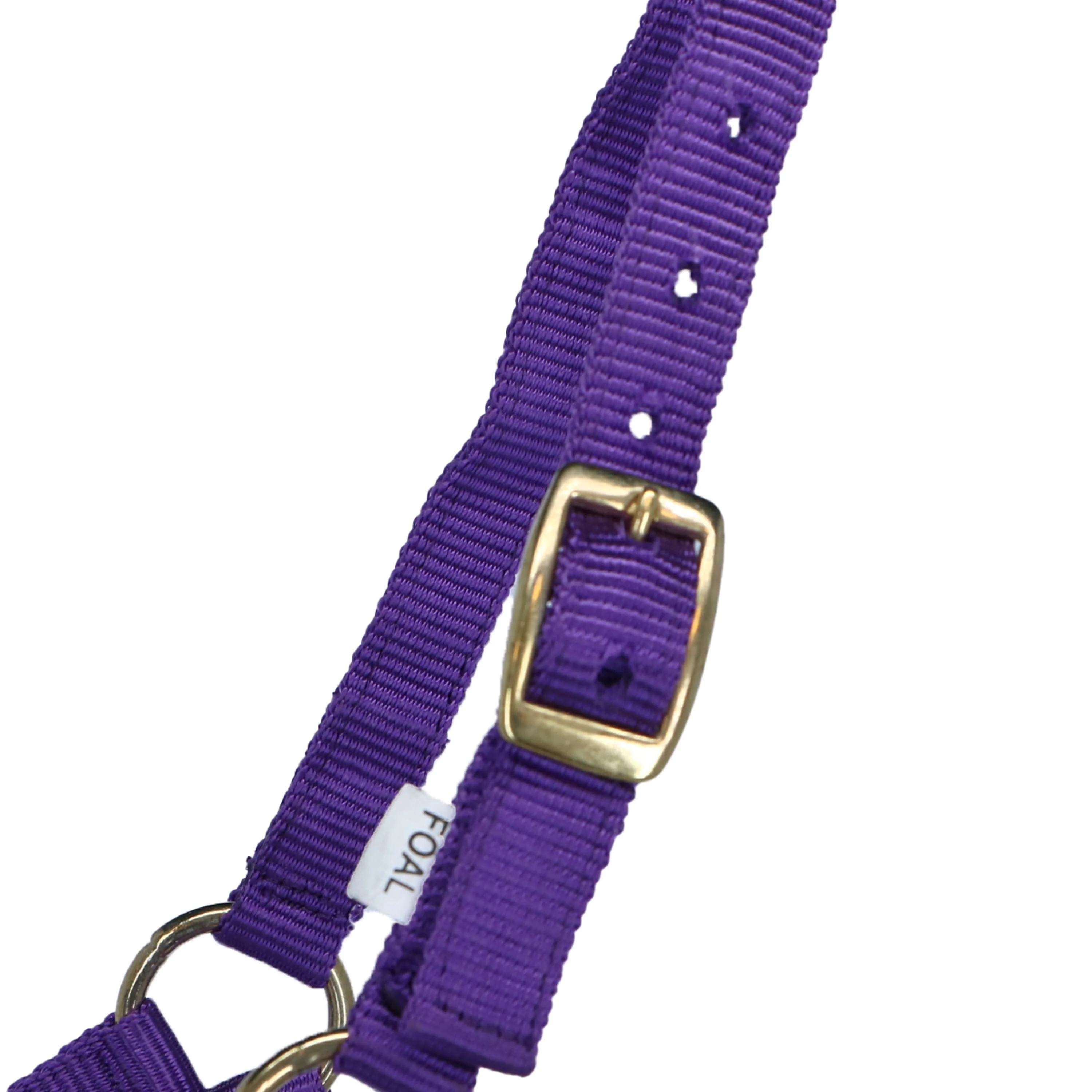 Norton Fohlenhalfter mit Leine Violett - Image 2