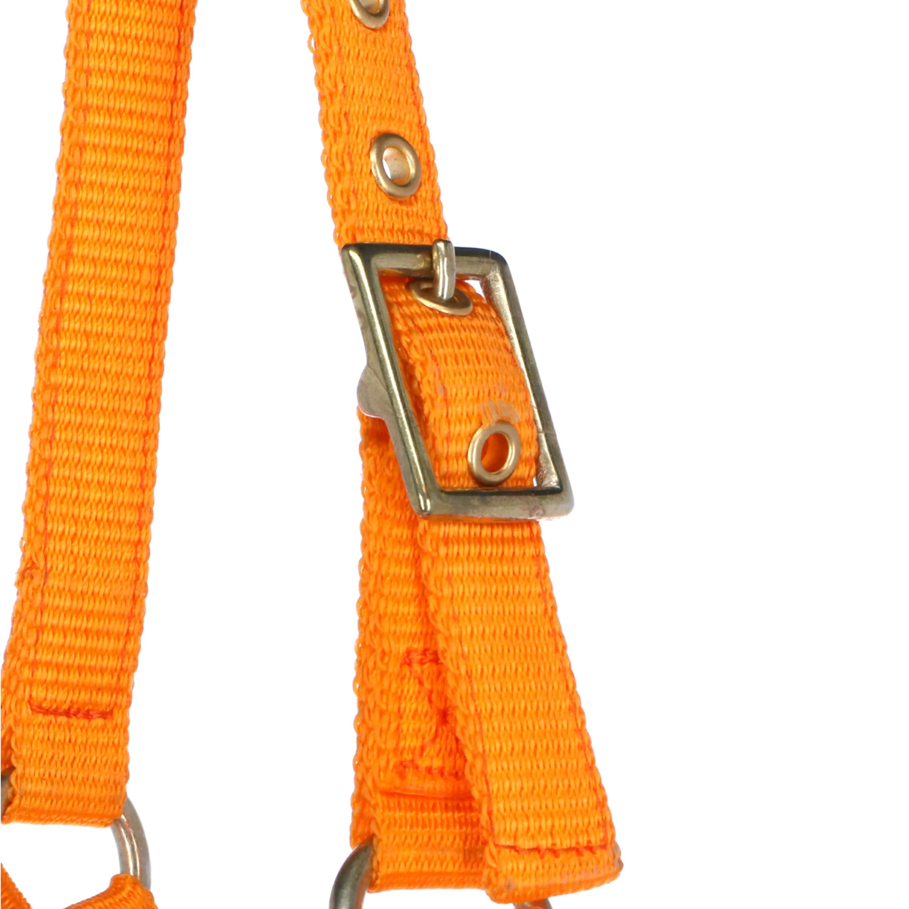 Norton Halfter Mini Verstellbar Orange - Image 2