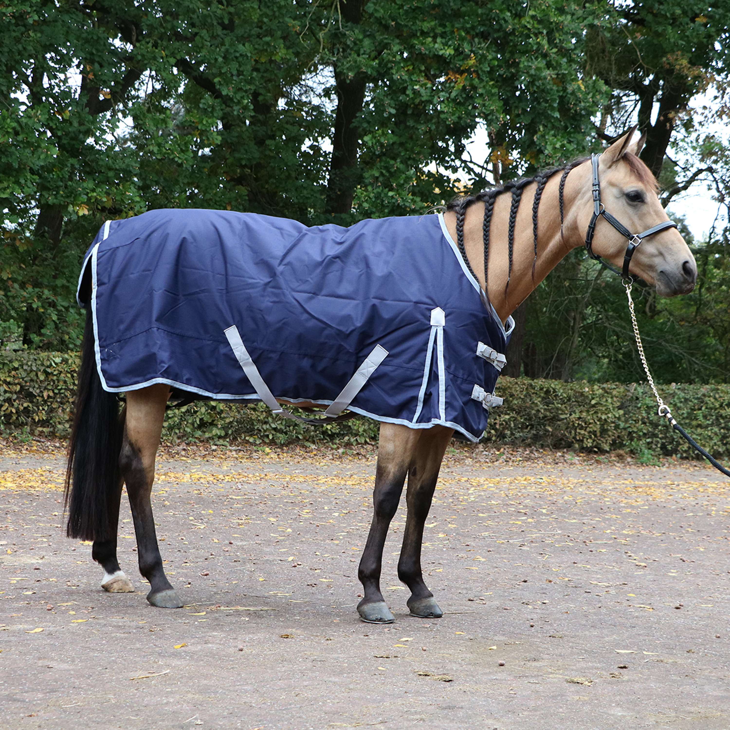 Premiere Outdoordecke All Year 150g Dress Blue - Image 8