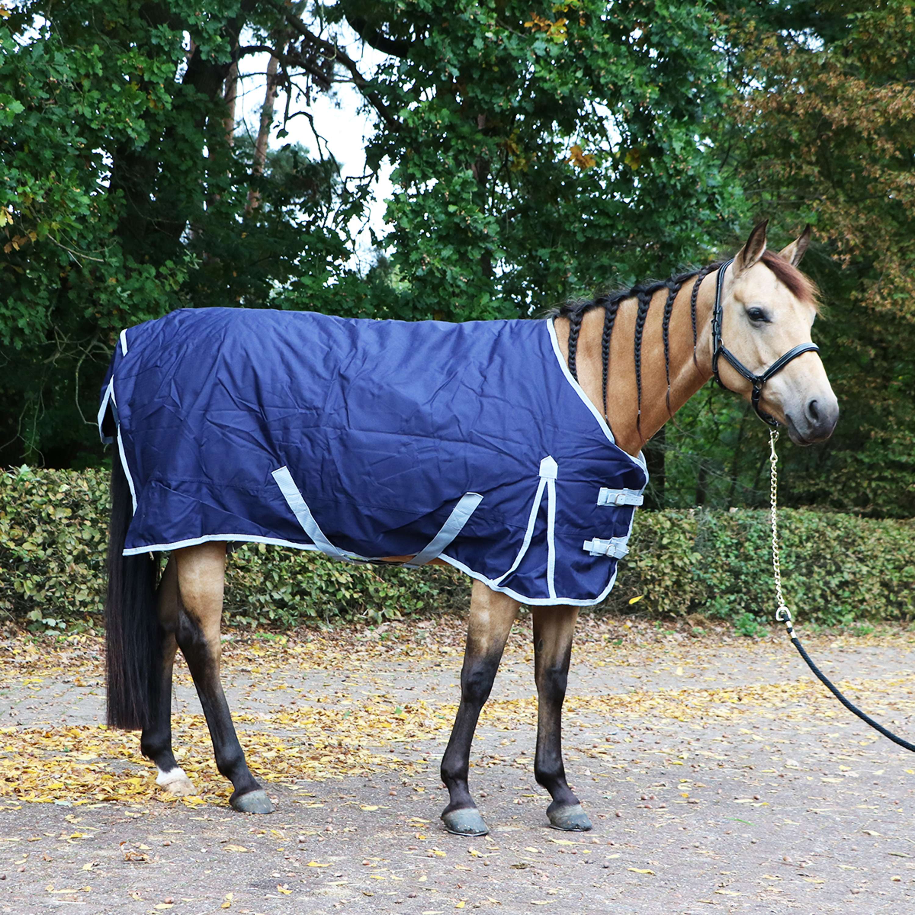 Premiere Outdoordecke All Year 300g Dress Blue - Image 10