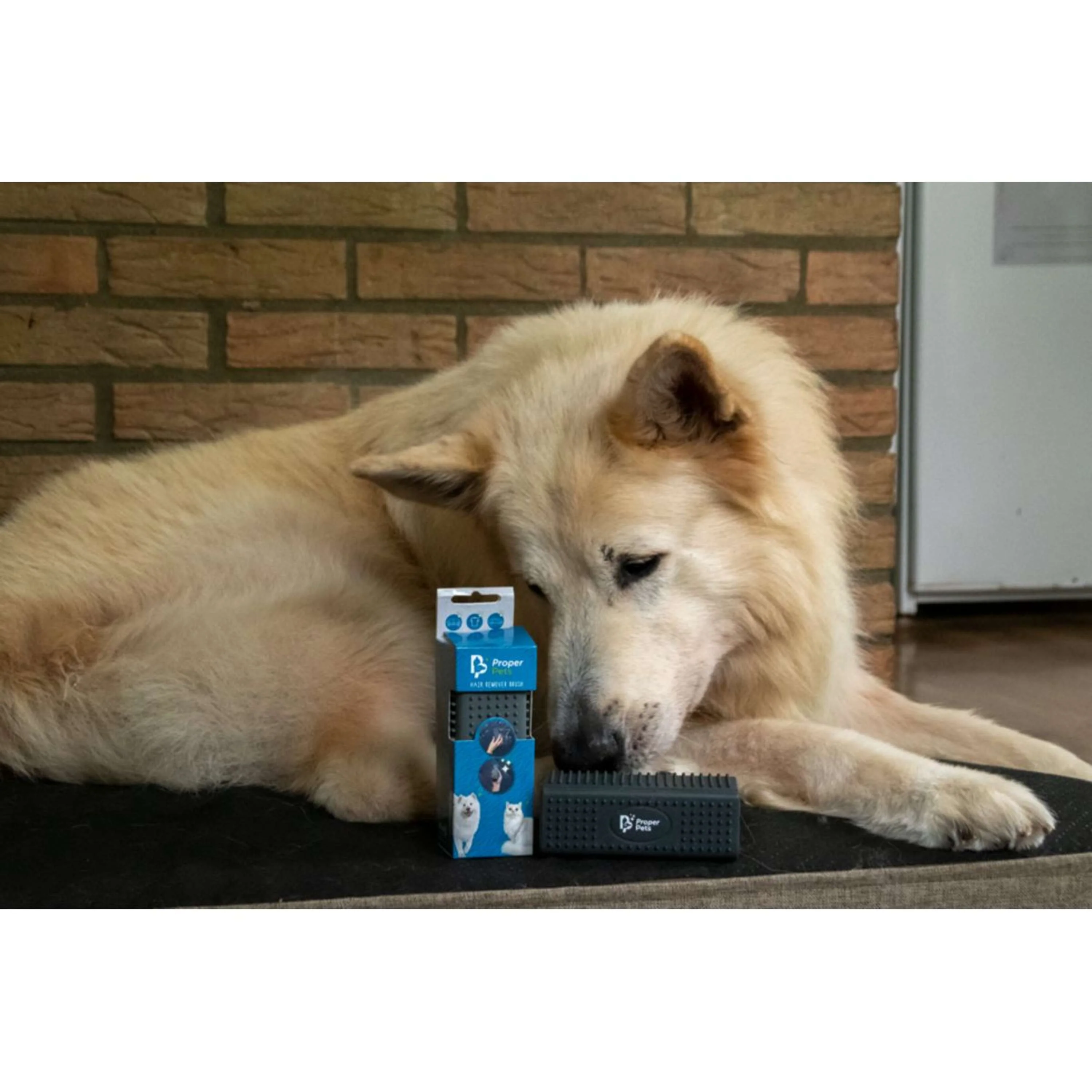 Proper Pets Haarentferner - Image 3