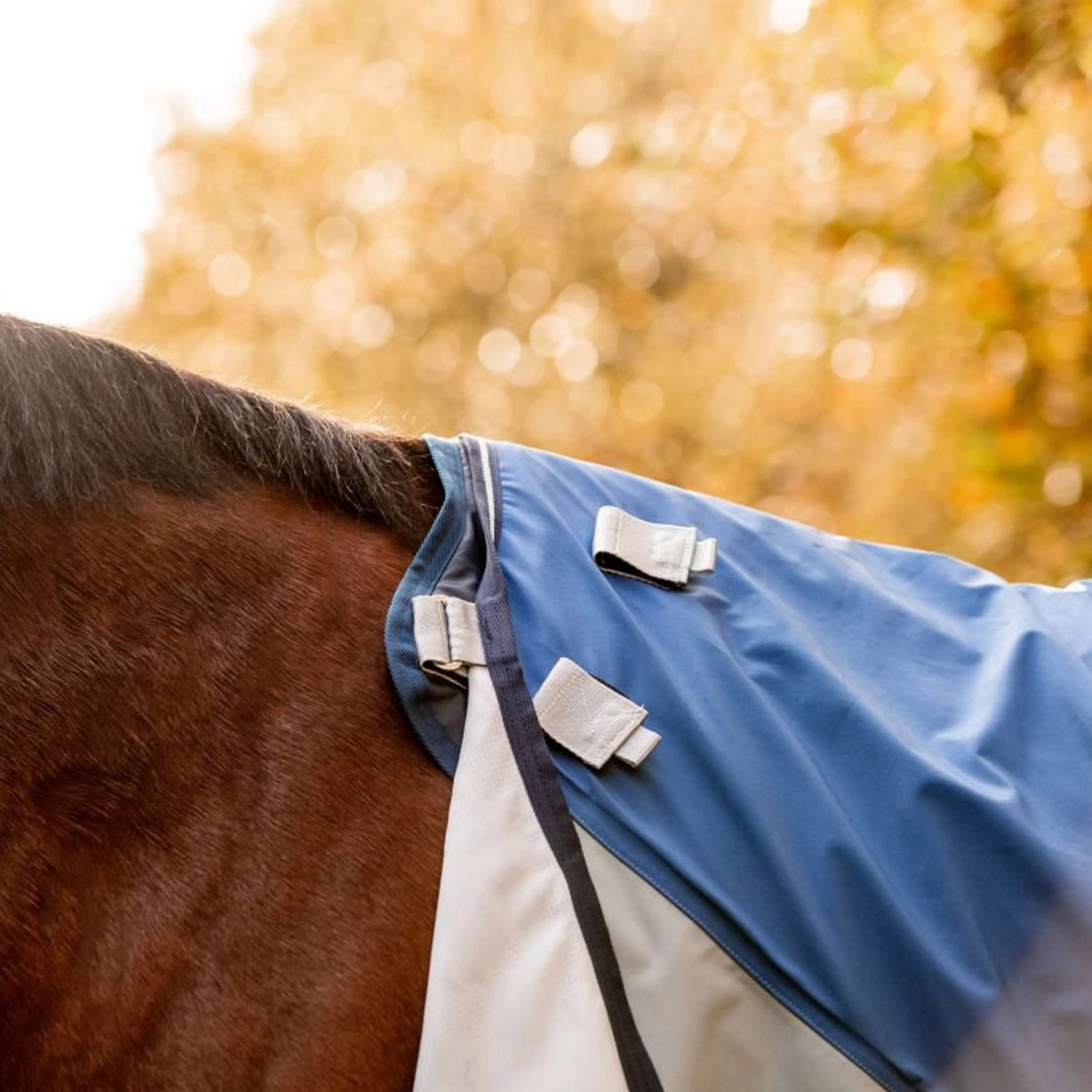 Rambo Autumn Series Turnout Navy/Grau Dots - Image 6