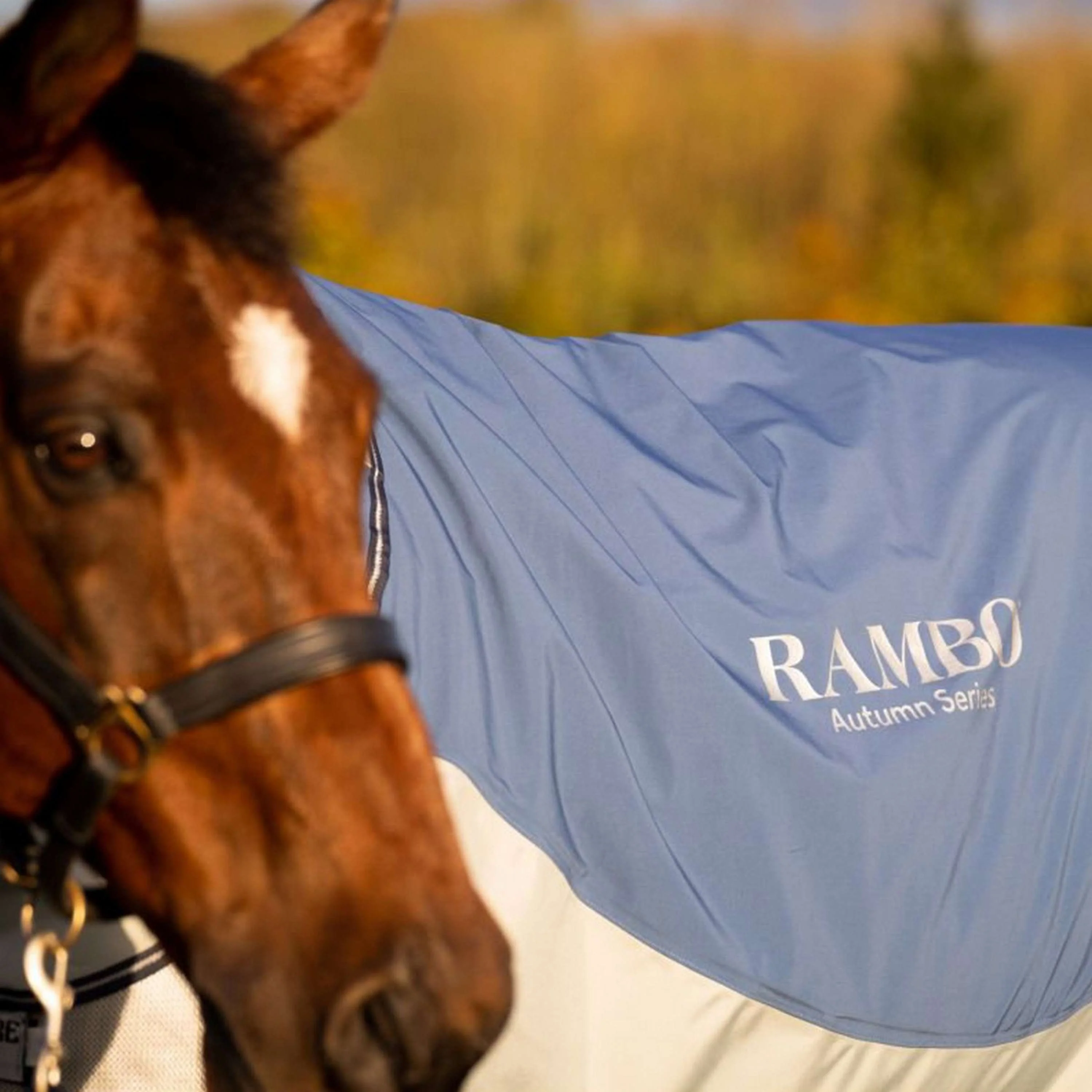 Rambo Autumn Series Turnout Navy/Grau Dots - Image 7