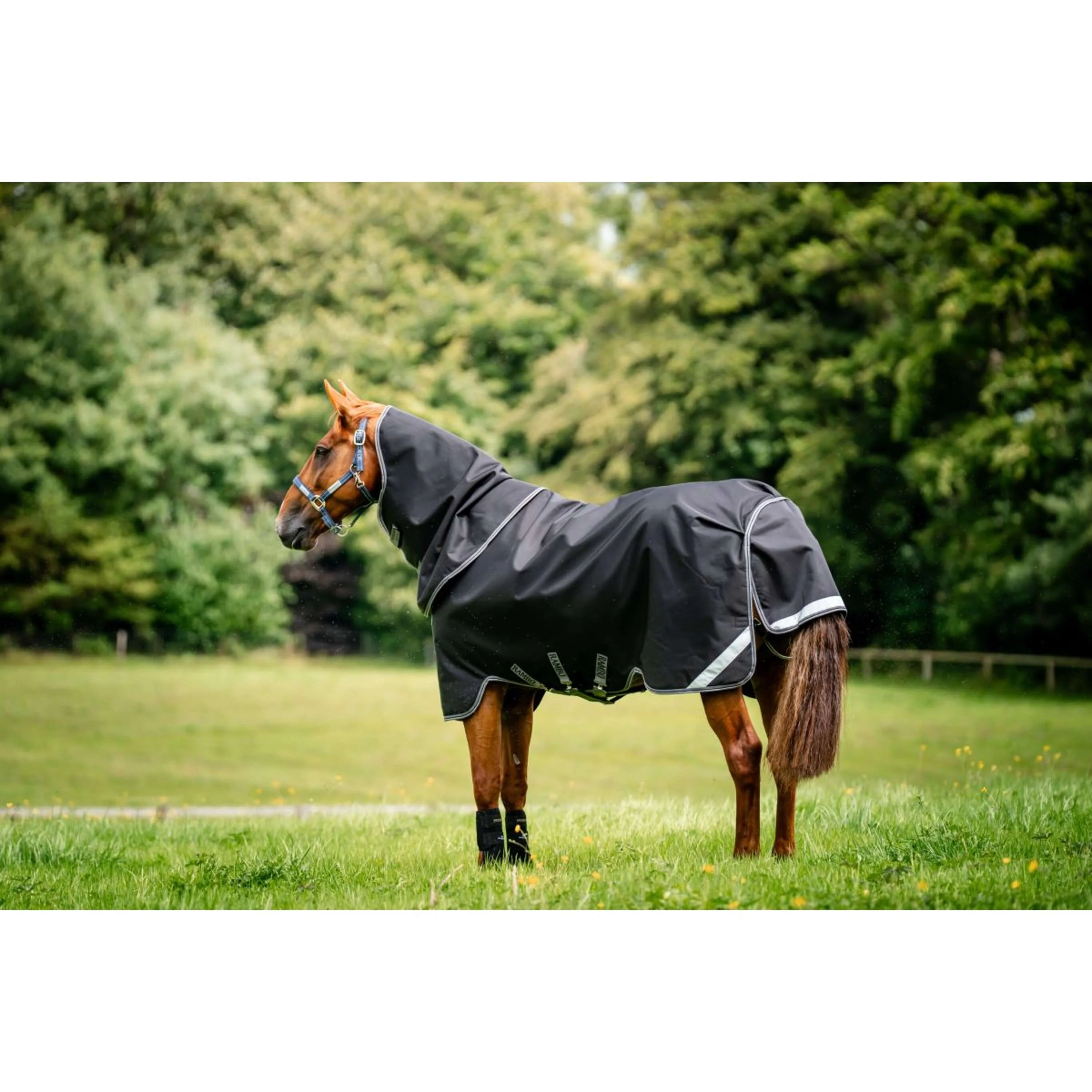 Rambo Turnout 1680D Plus 100g Schwarz/Thunderstorm Grey/Silver